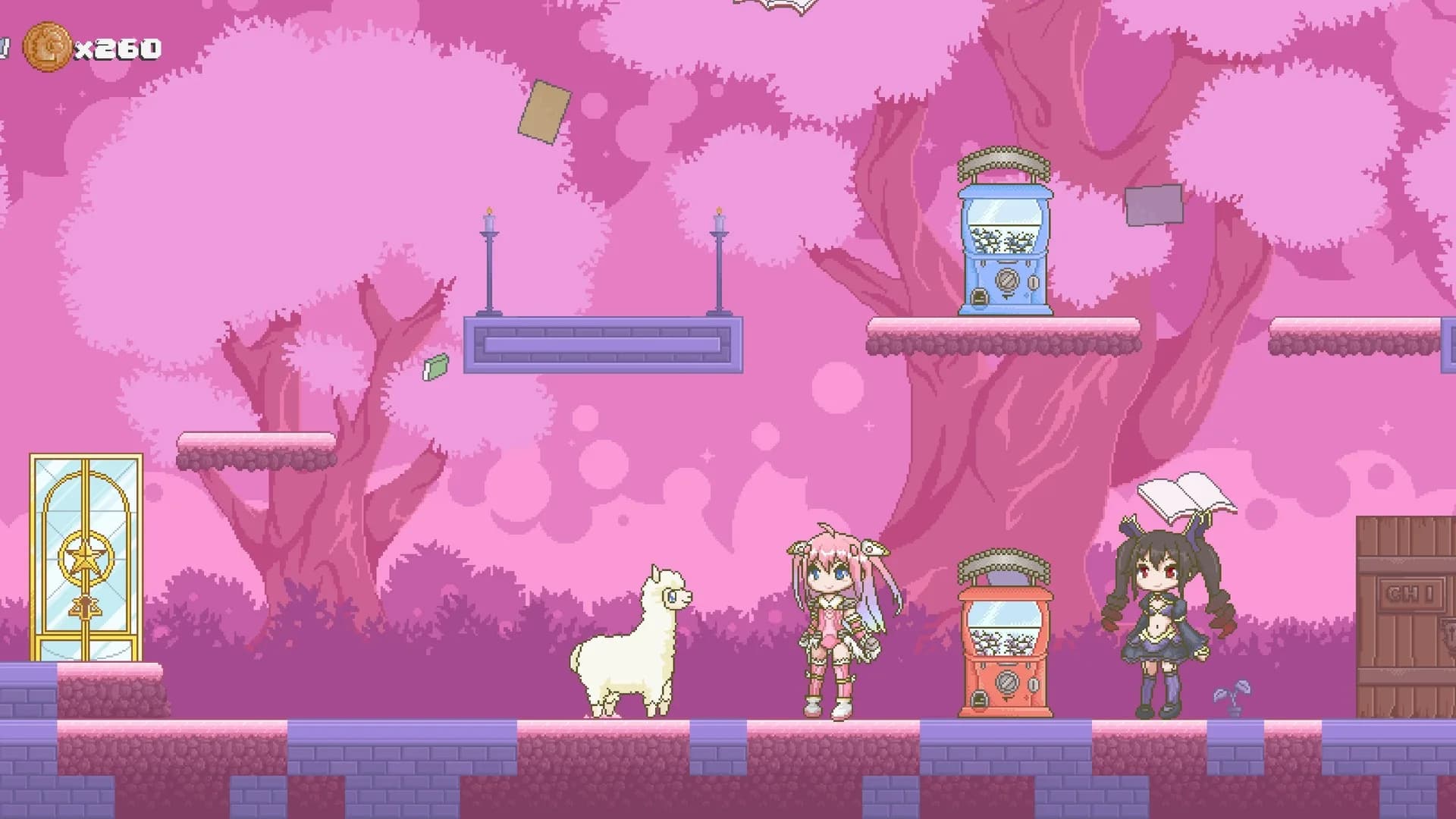 Alpacapaca Double Dash görsel 3