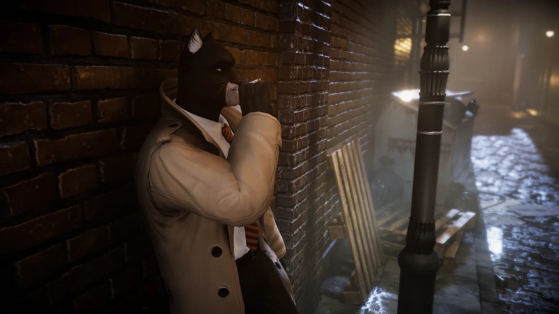 Blacksad: Under the Skin görsel 2