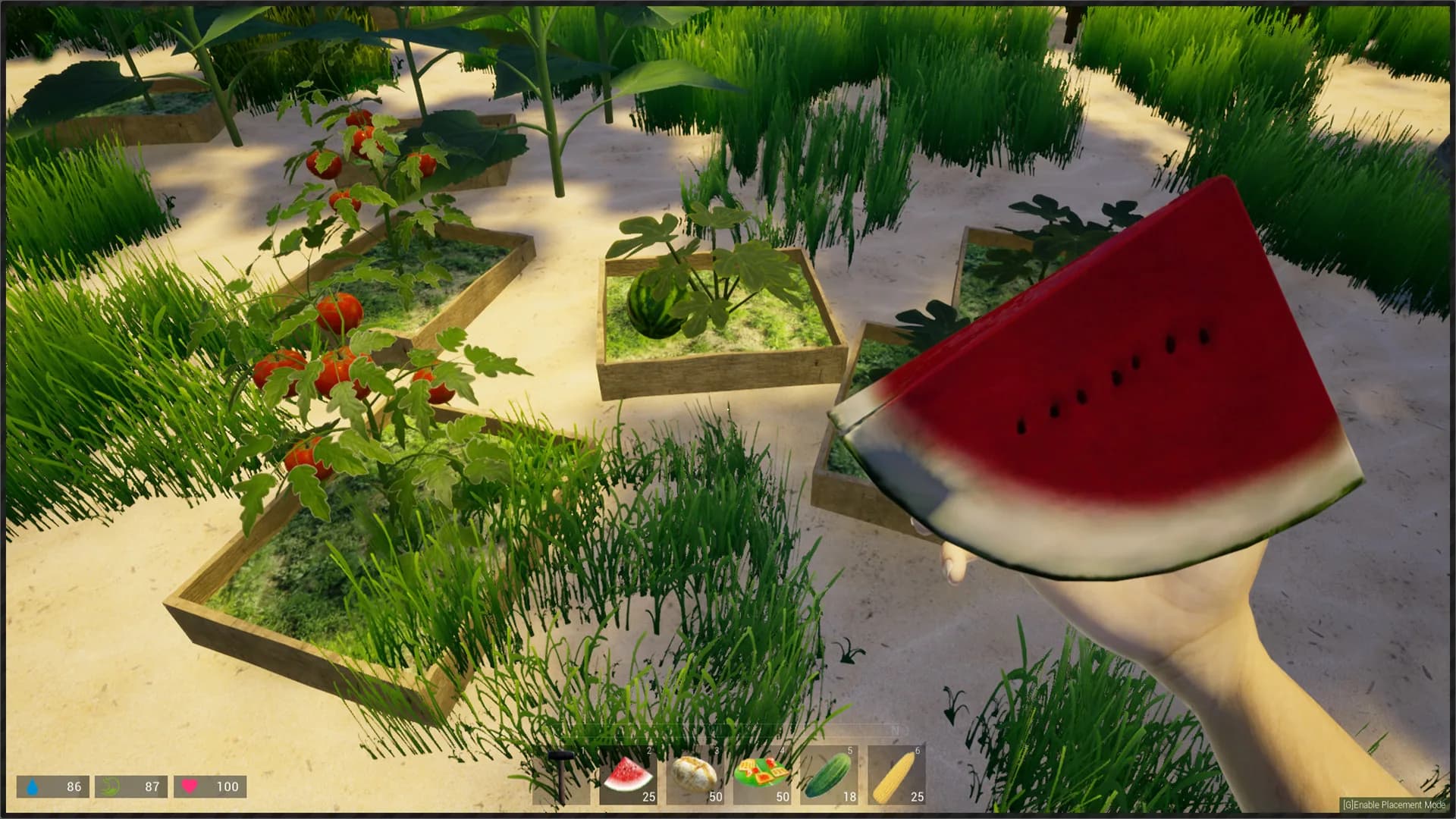 My Island görsel 55
