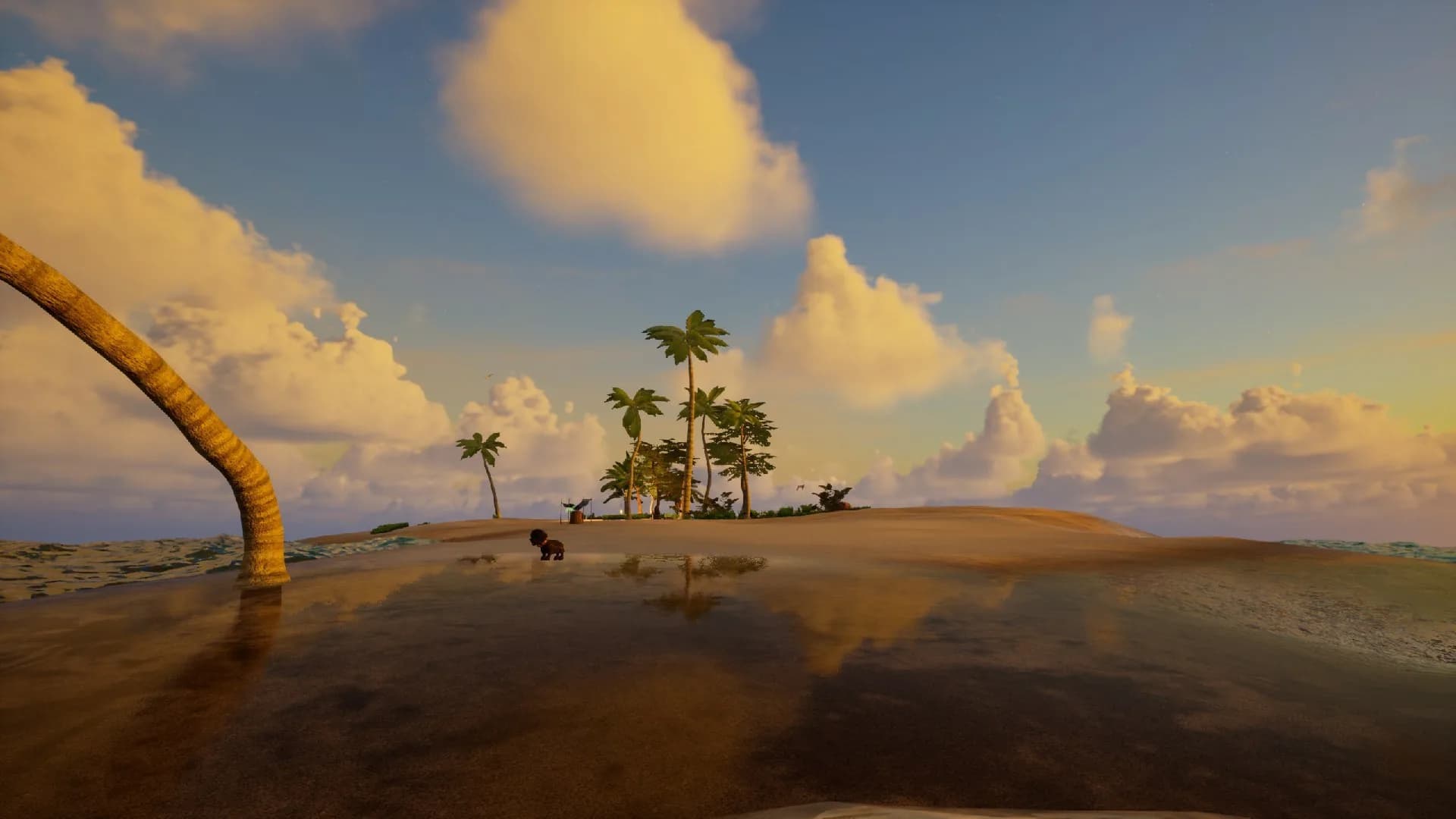 My Island görsel 97
