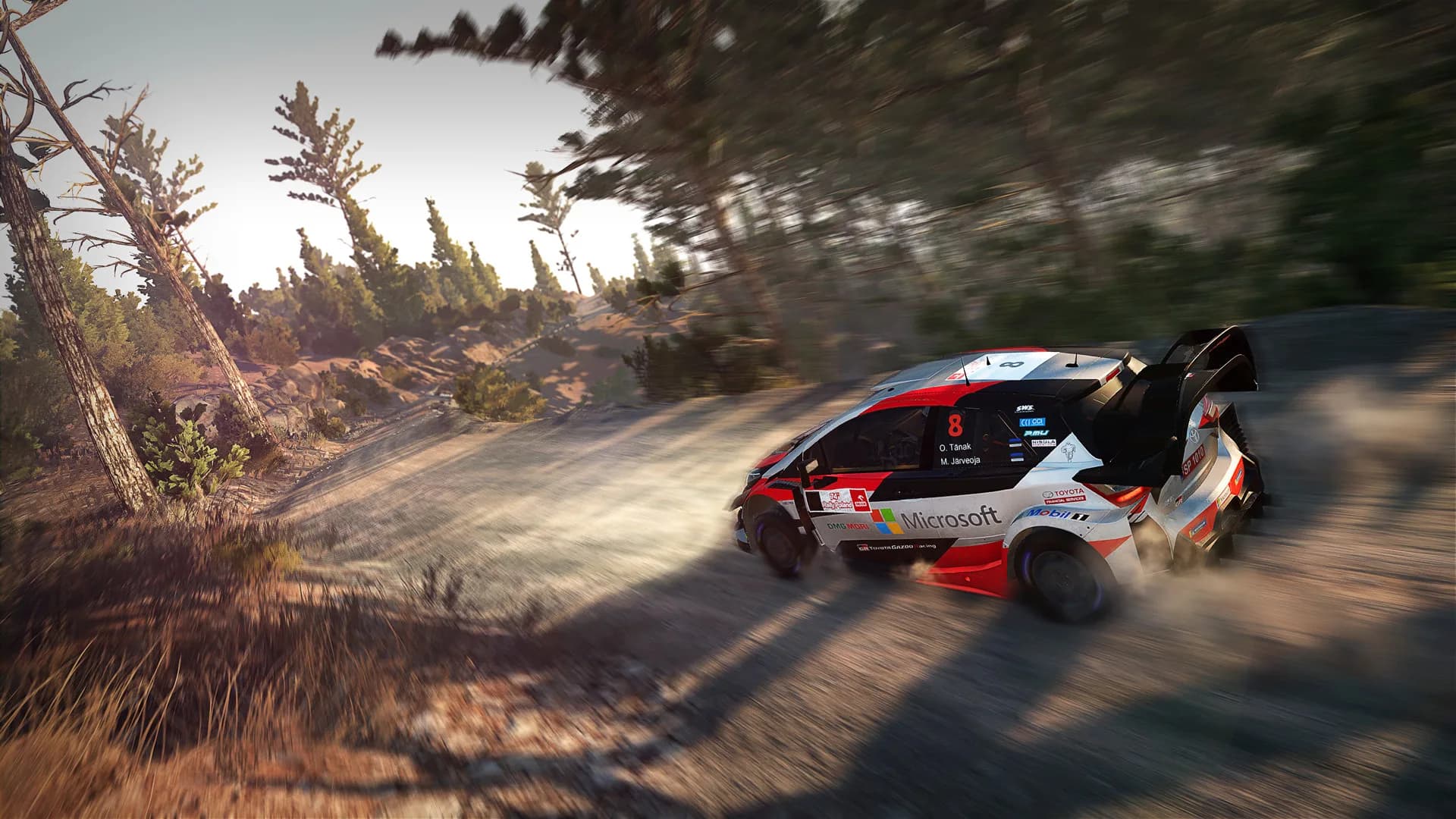 WRC 8 FIA World Rally Championship görsel 4