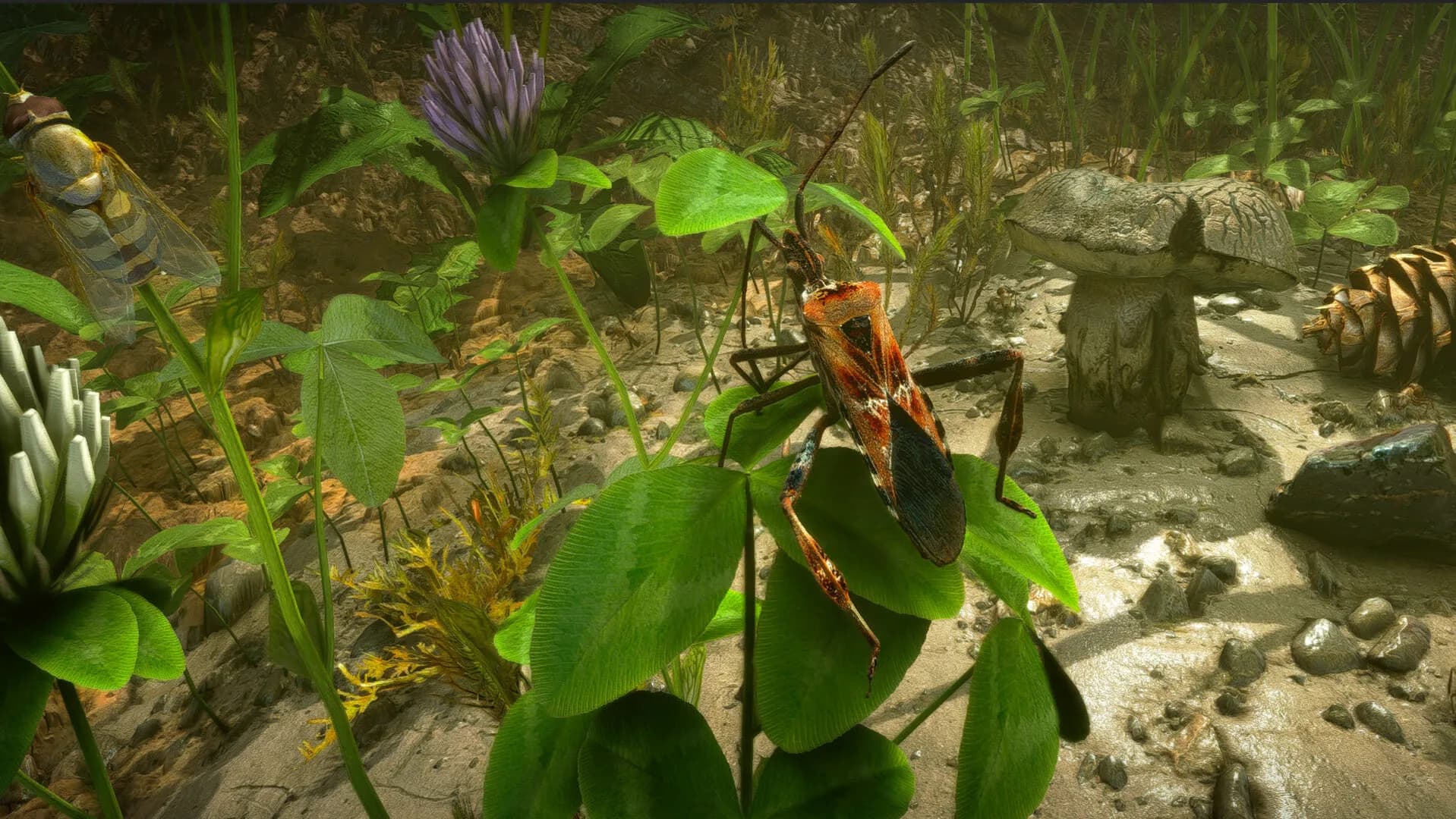 Insect Worlds görsel 2