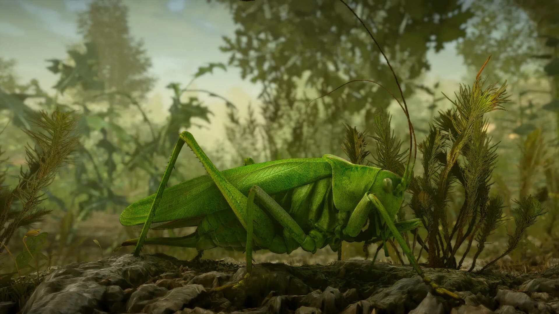 Insect Worlds görsel 3