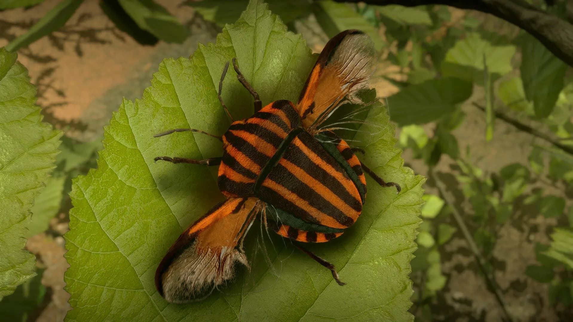 Insect Worlds görsel 13