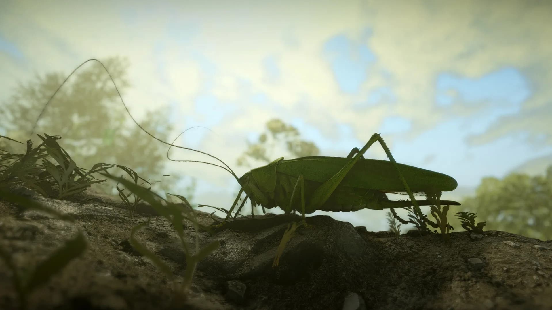 Insect Worlds görsel 15