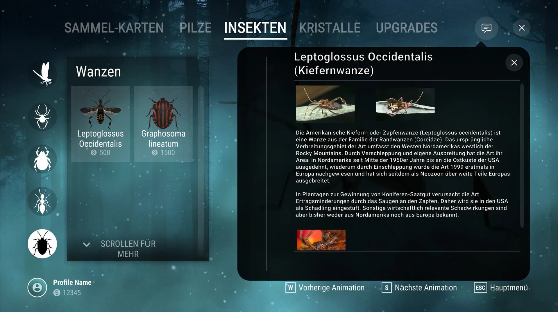 Insect Worlds görsel 16