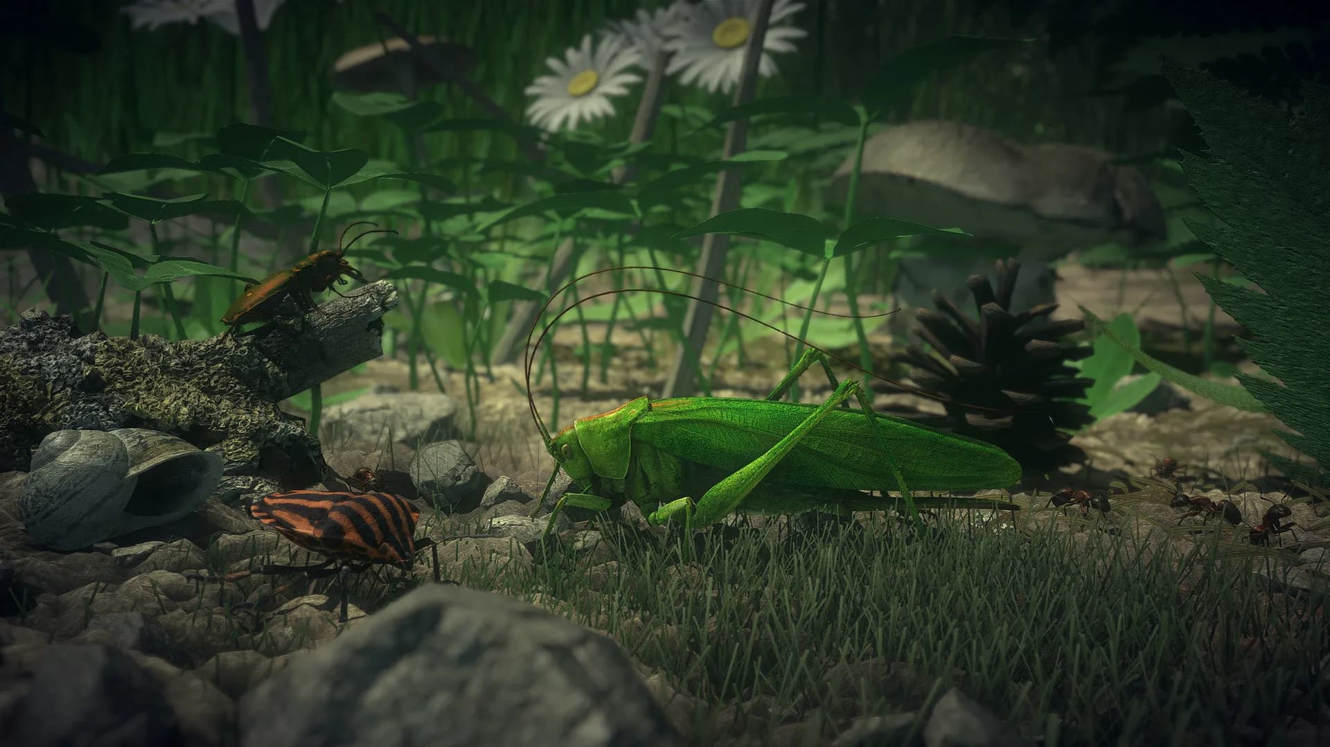 Insect Worlds görsel 21