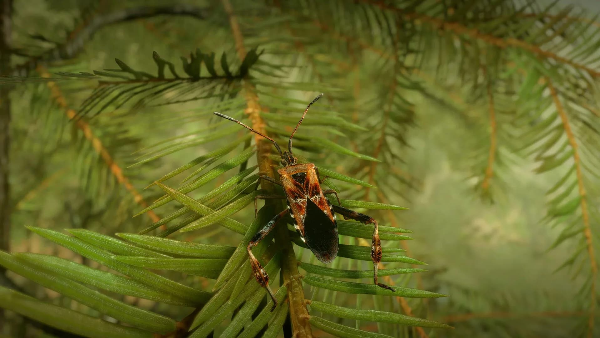 Insect Worlds görsel 6