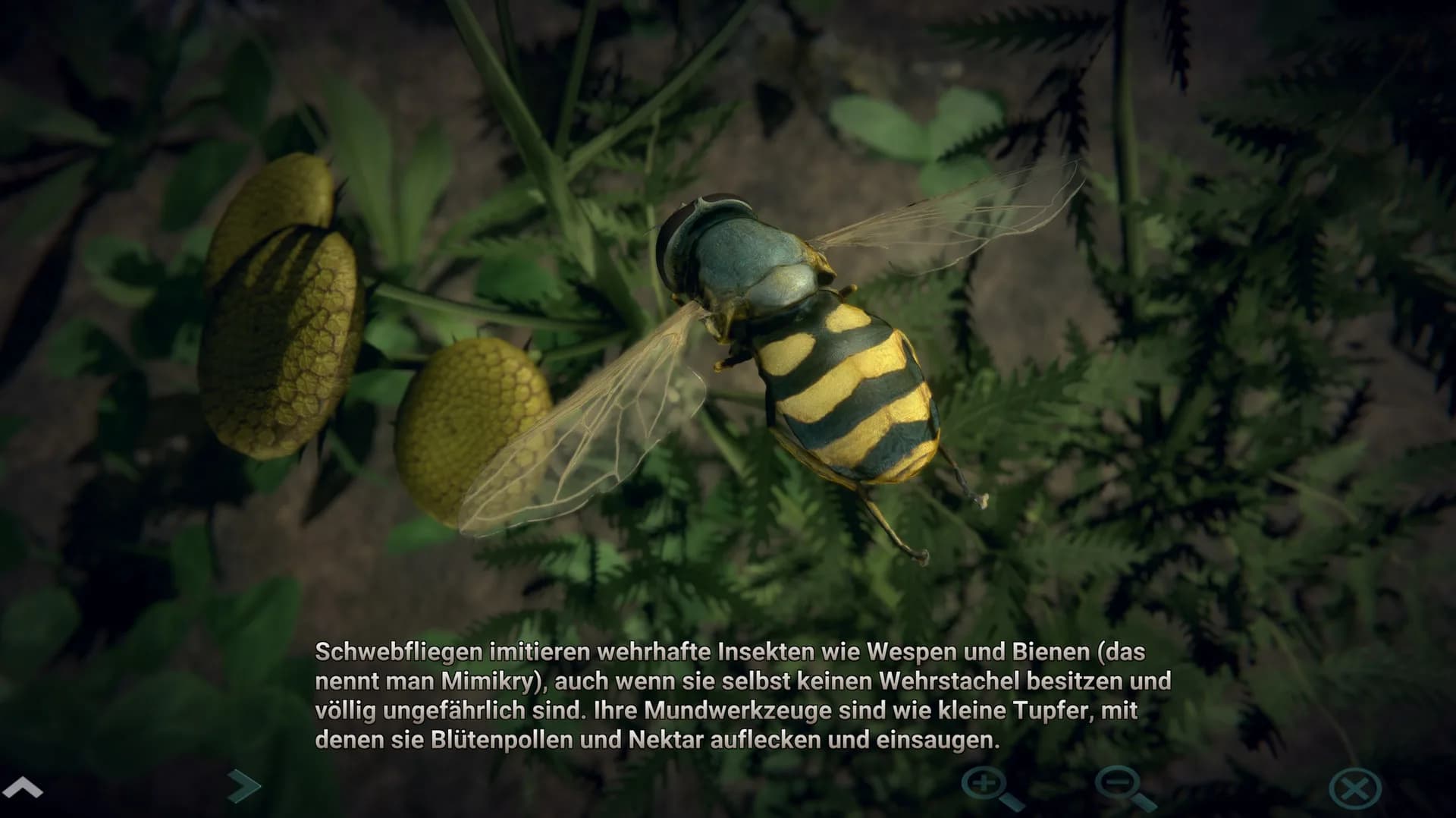 Insect Worlds görsel 8