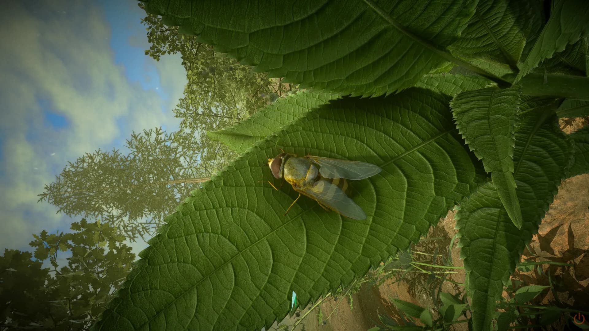 Insect Worlds görsel 9