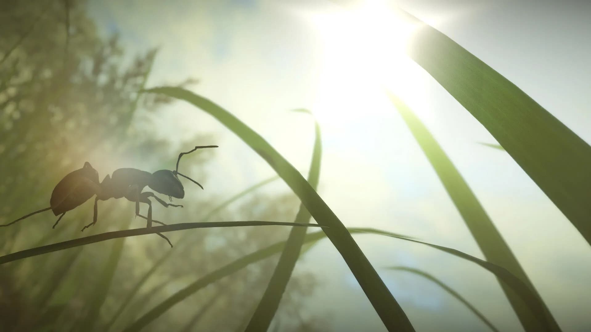 Insect Worlds görsel 10