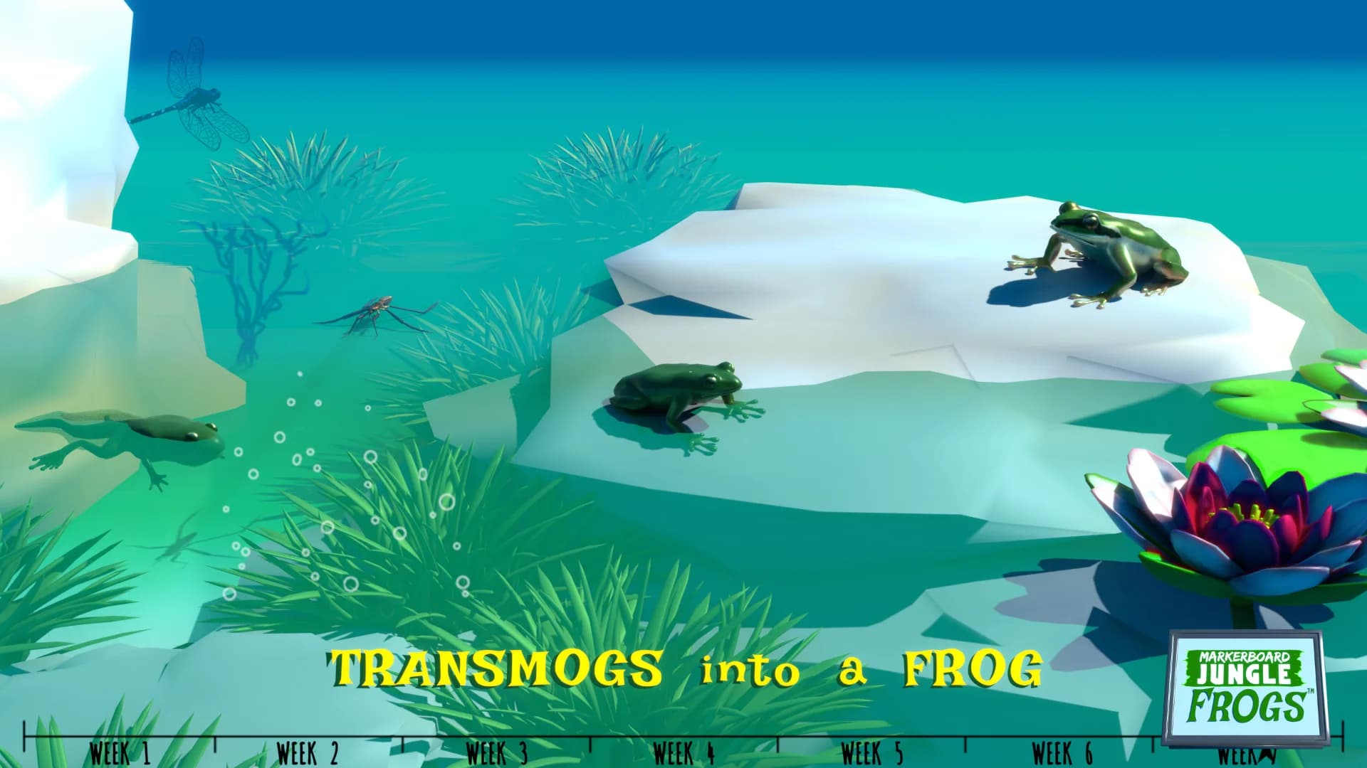 Markerboard Jungle: Frogs görsel 13