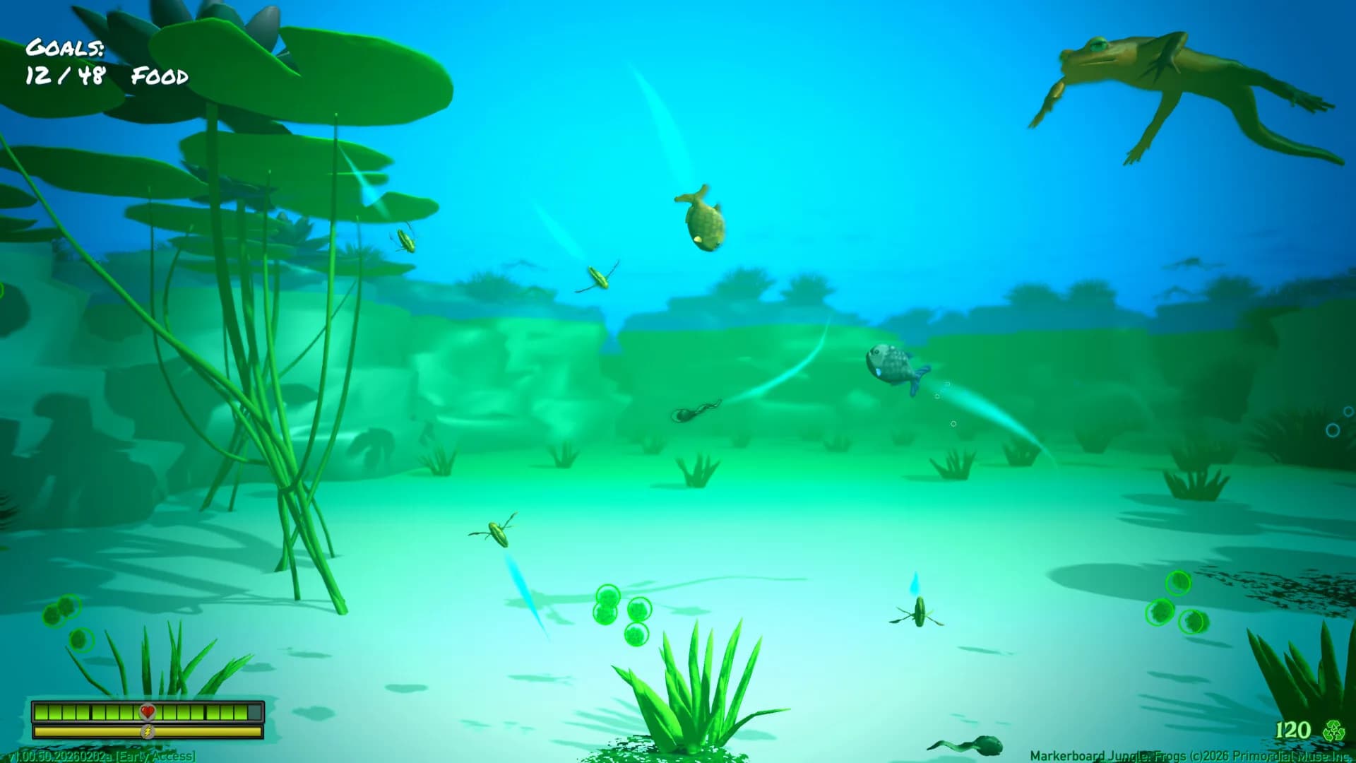 Markerboard Jungle: Frogs görsel 5