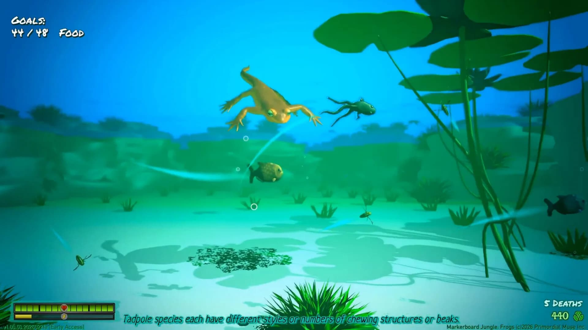 Markerboard Jungle: Frogs görsel 6
