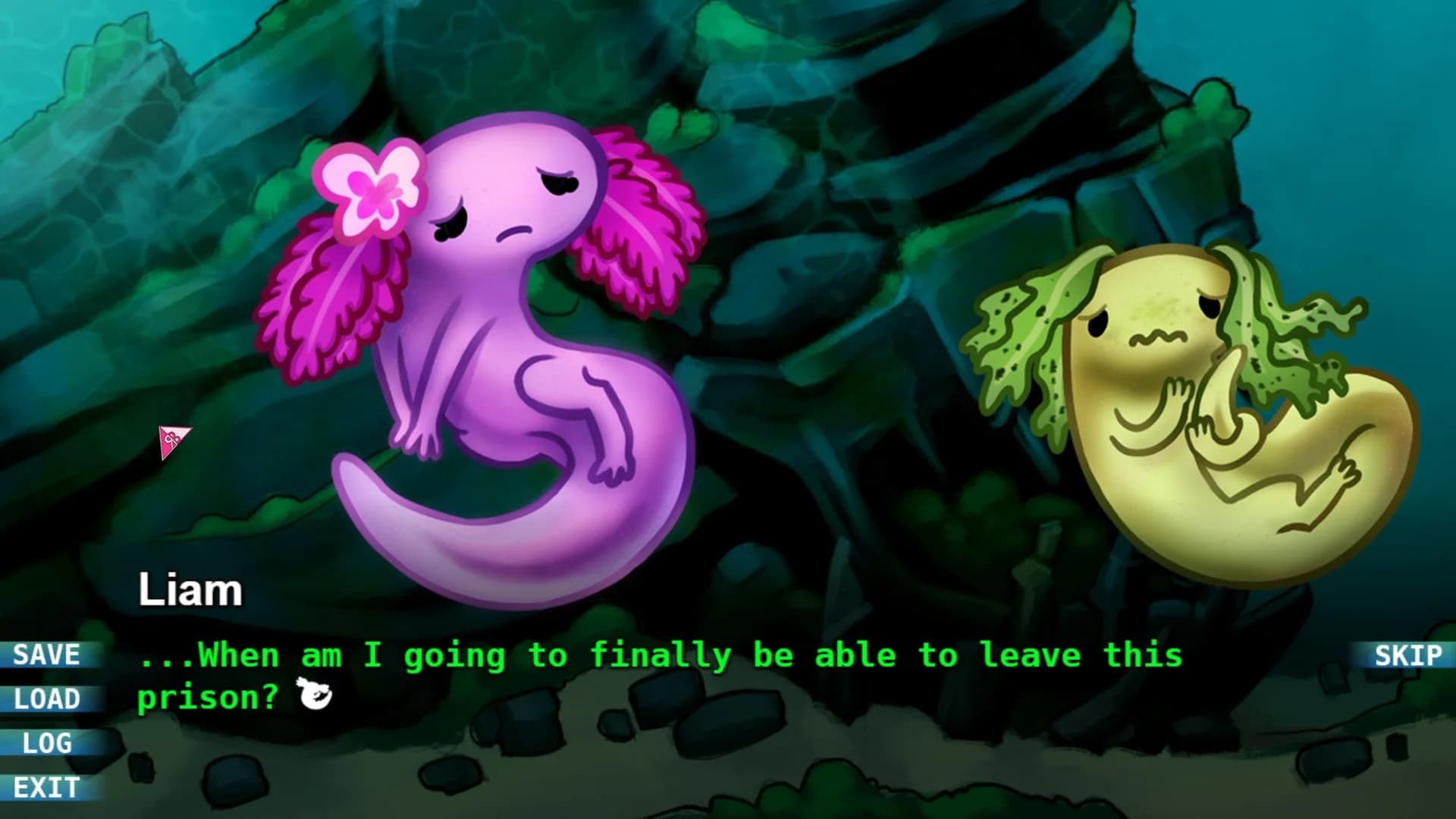 RB: Axolotl görsel 6