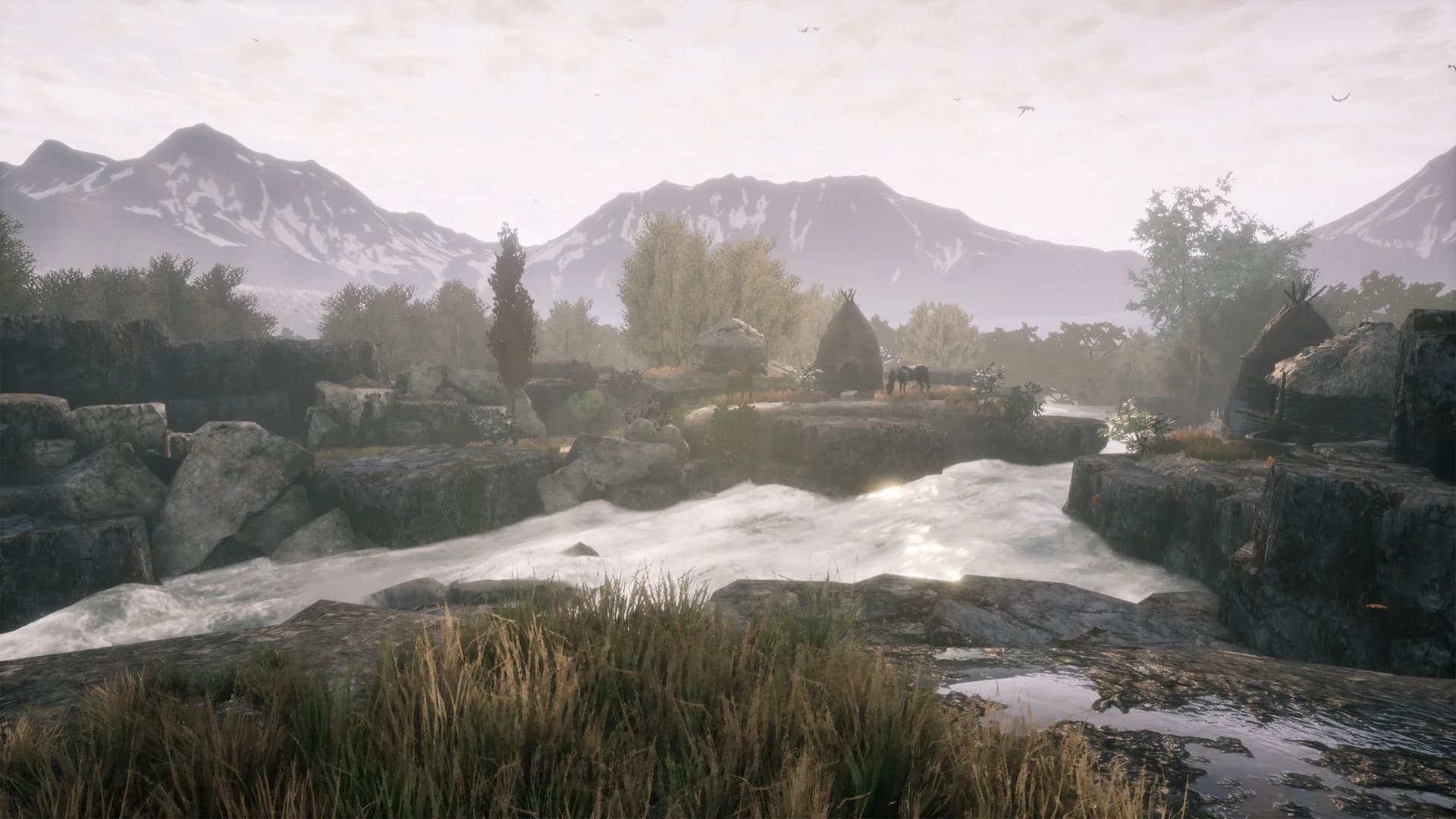 The Dead Tree of Ranchiuna görsel 3