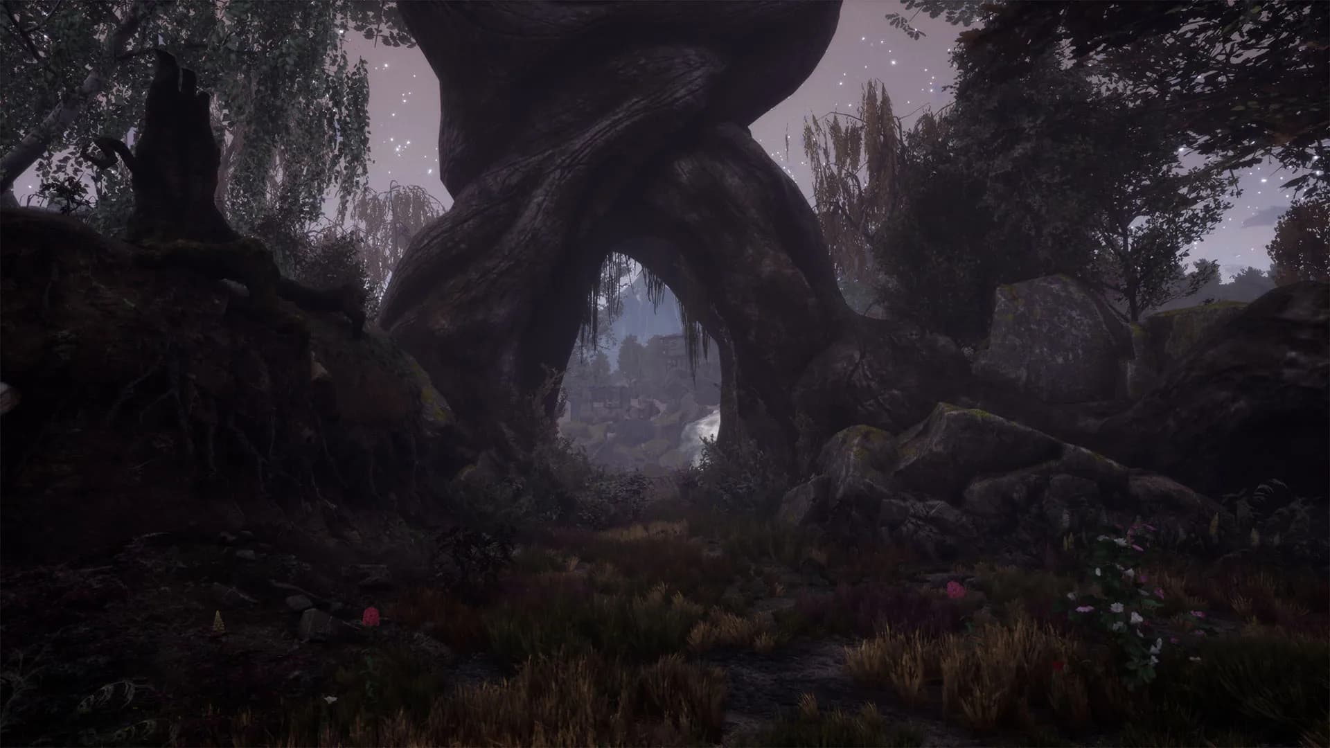 The Dead Tree of Ranchiuna görsel 4