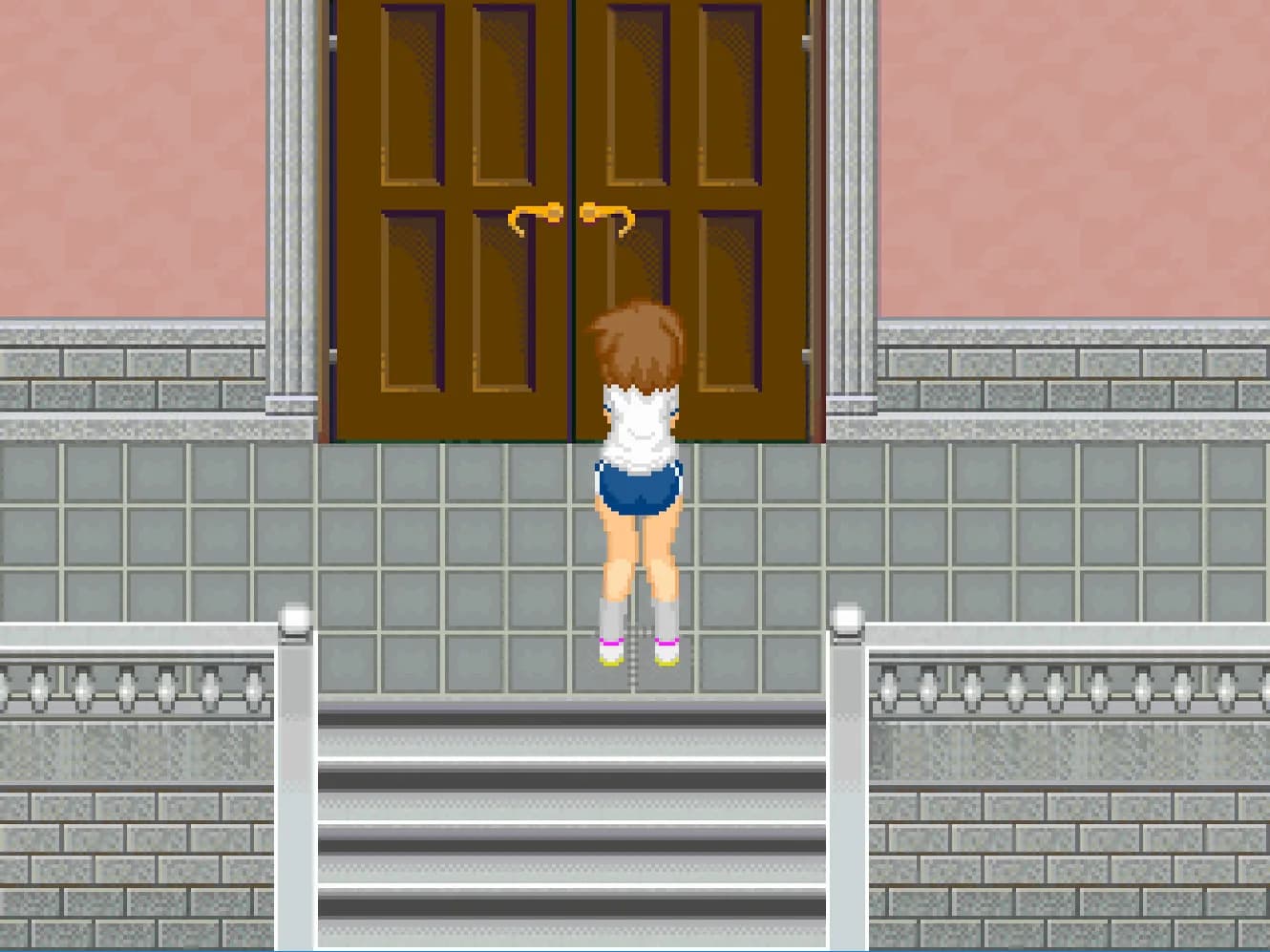 Alternate DiMansion Diary görsel 2