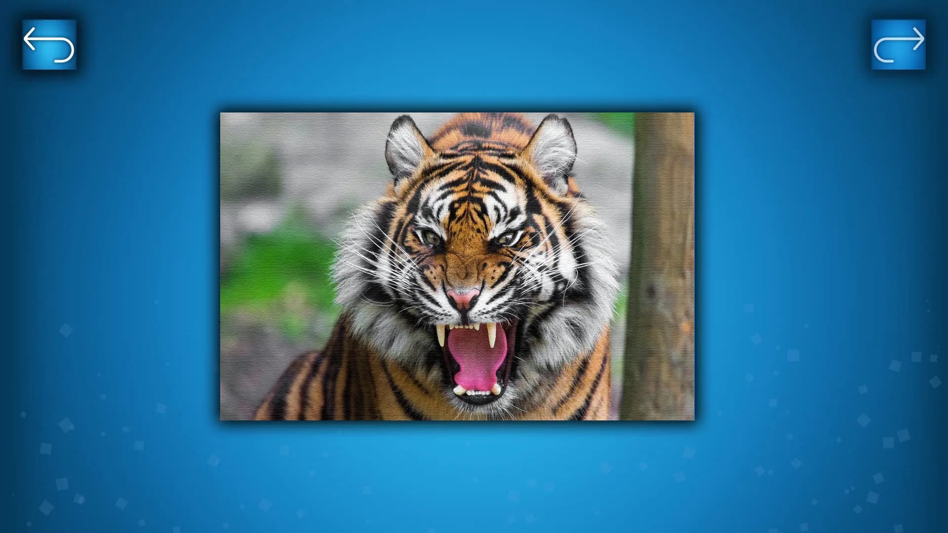 PUZZLE: ANIMALS görsel 2