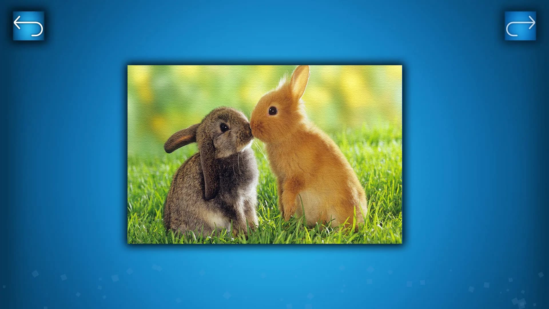 PUZZLE: ANIMALS görsel 3