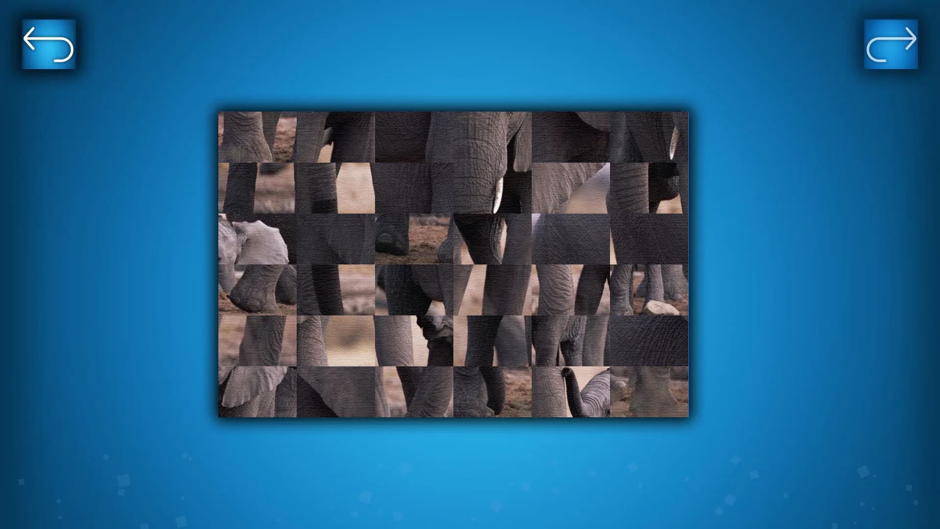PUZZLE: ANIMALS görsel 7