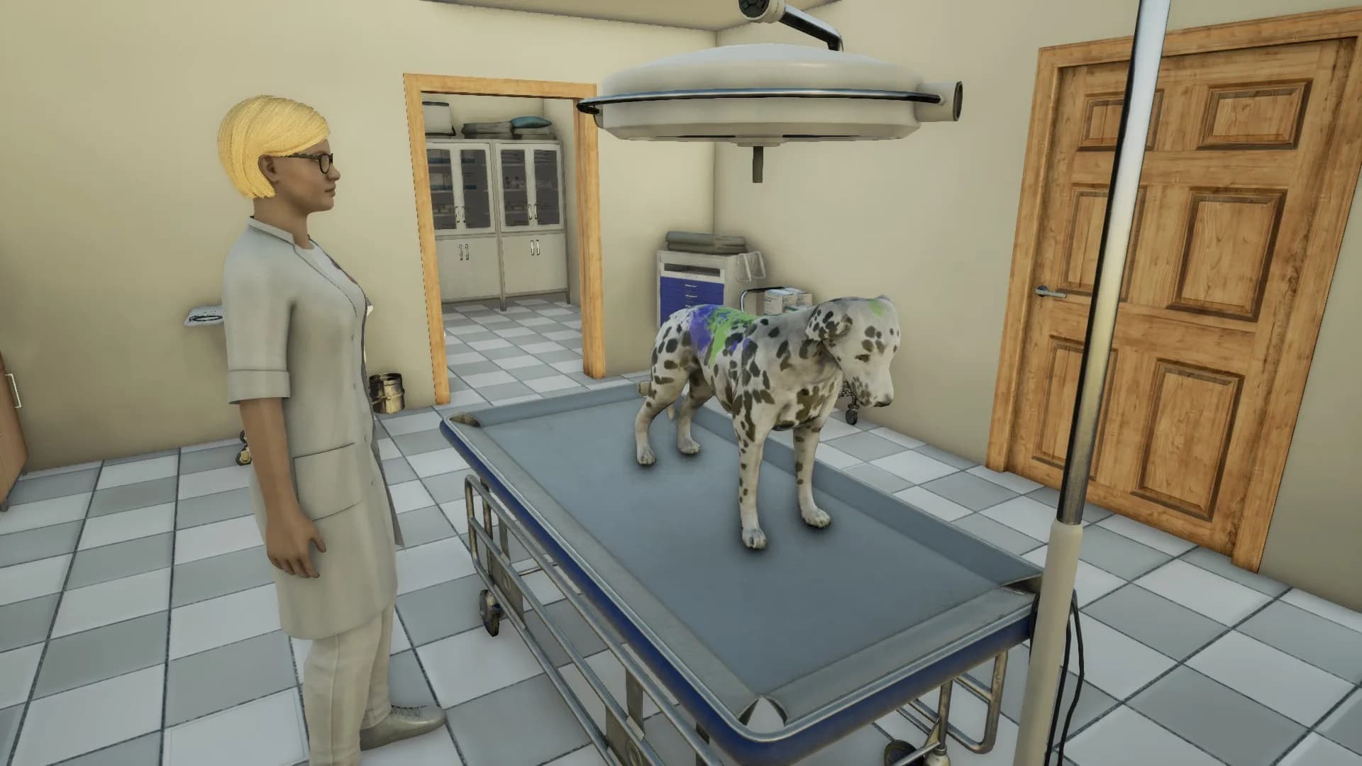 Animal Doctor görsel 3