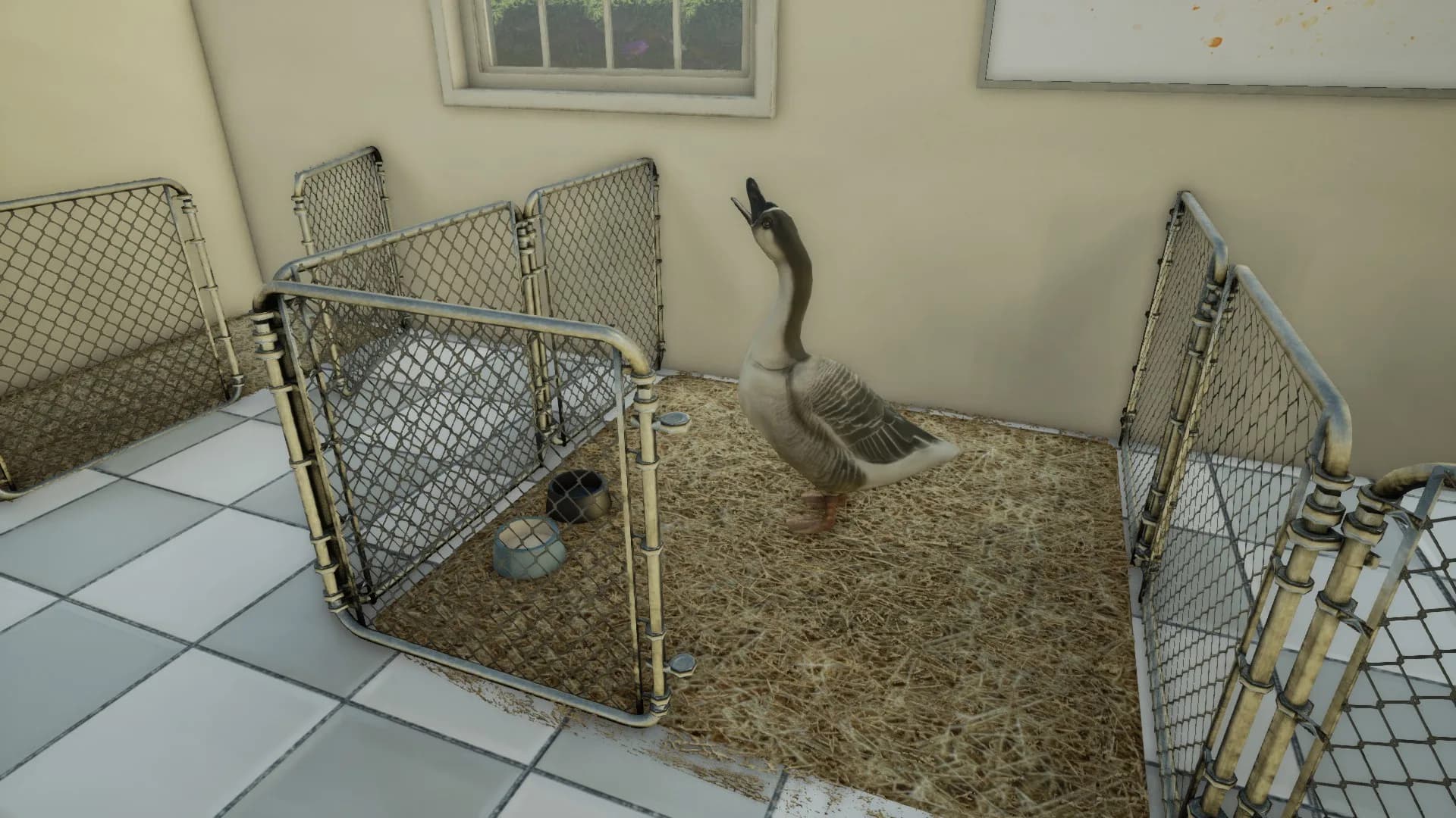 Animal Doctor görsel 12