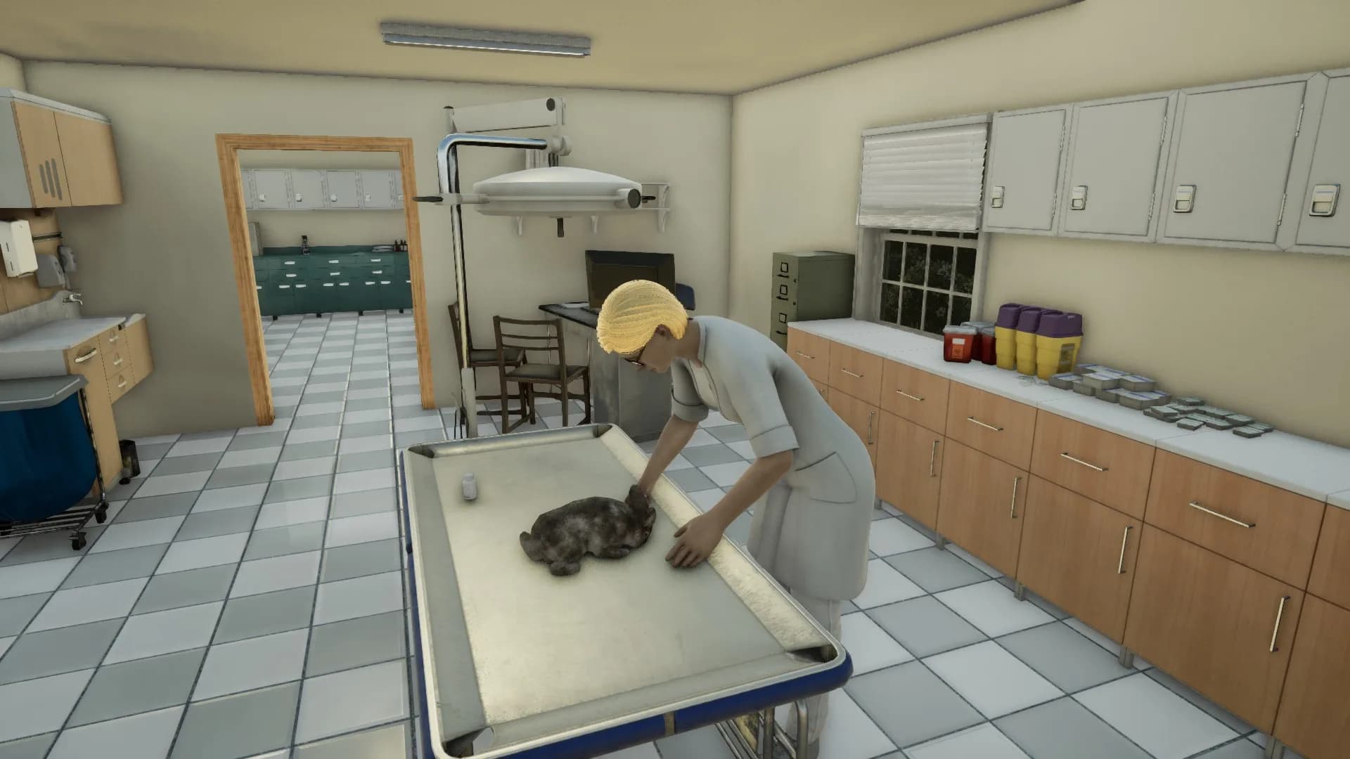 Animal Doctor görsel 14