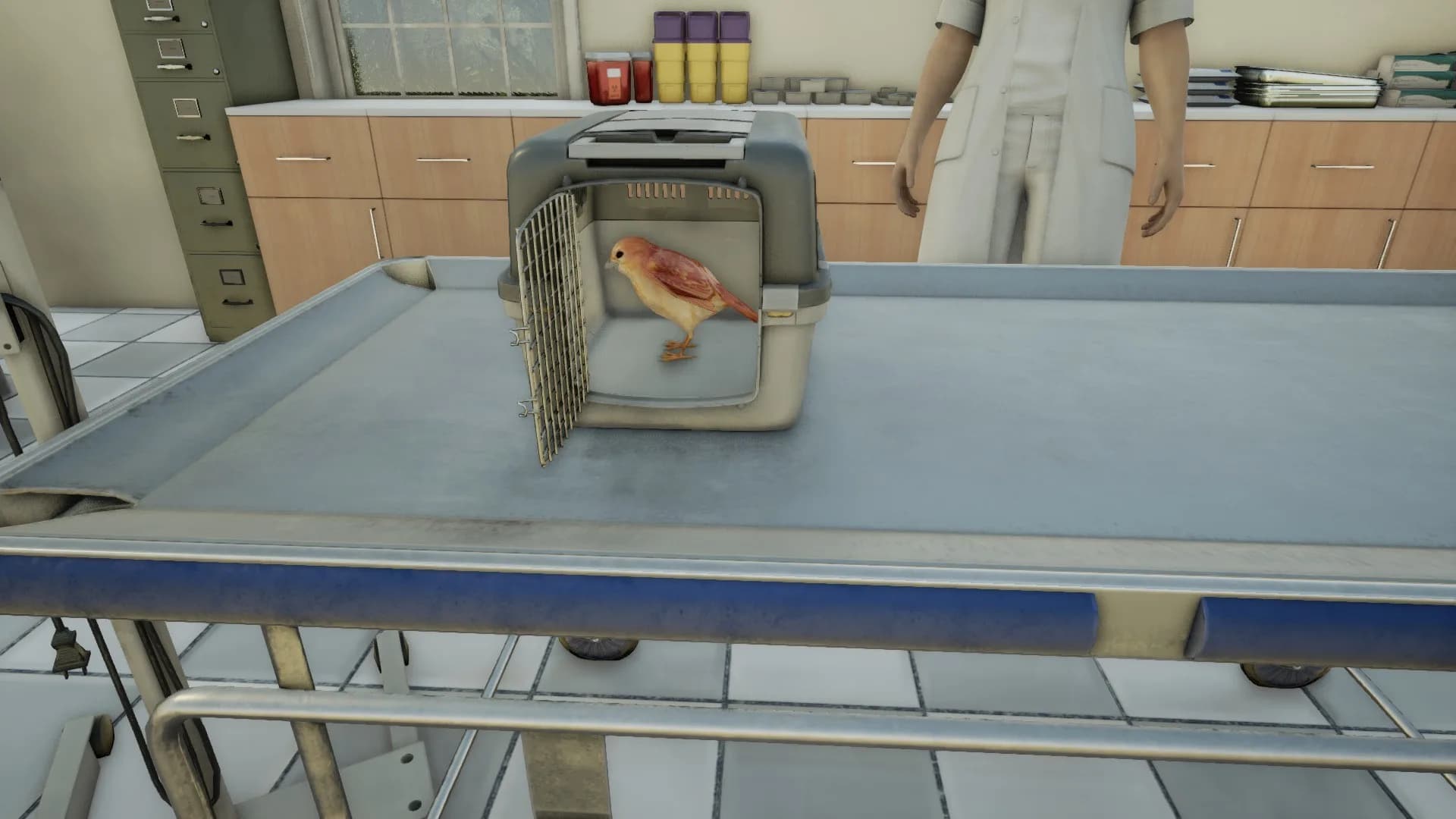 Animal Doctor görsel 8