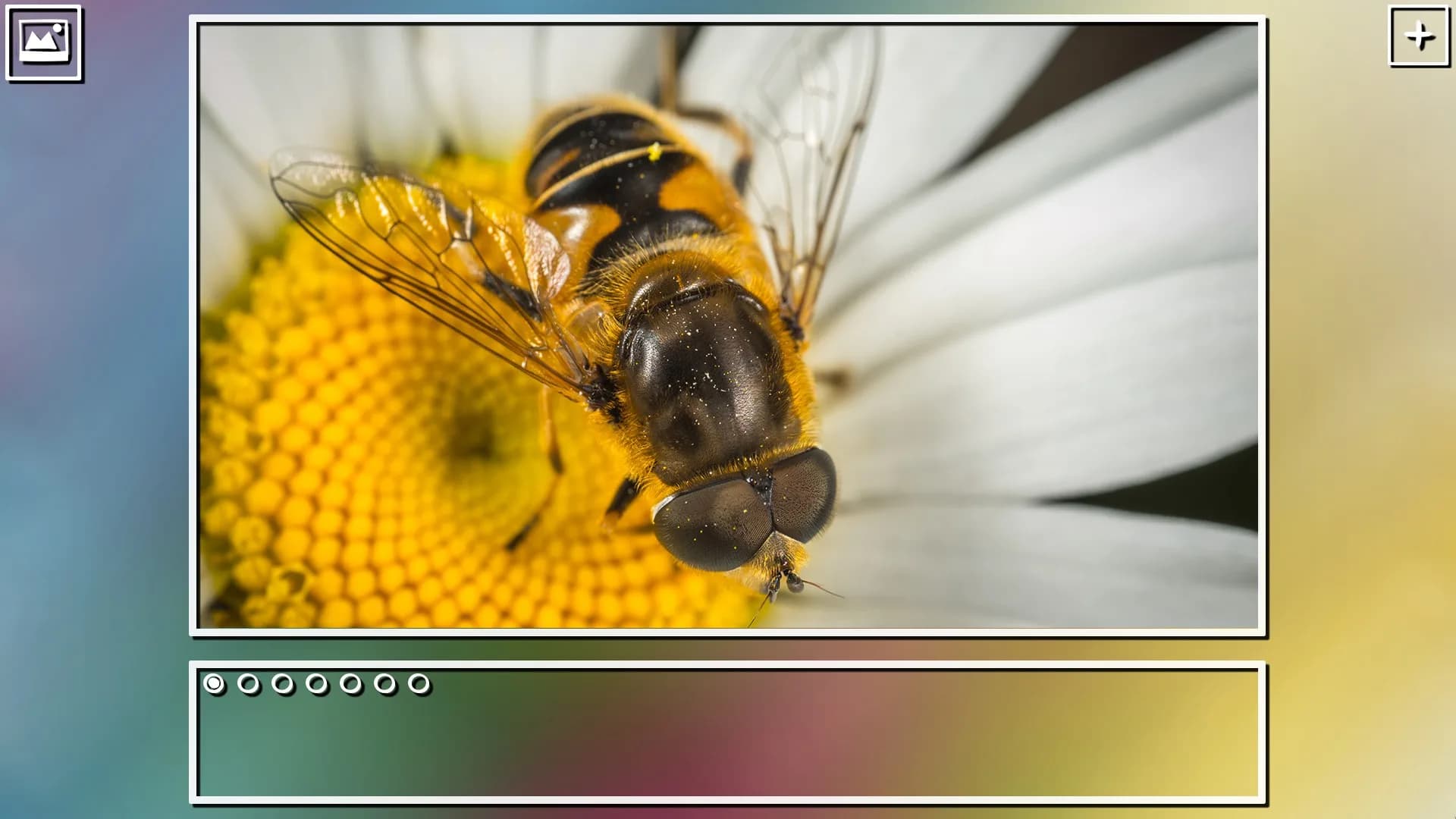 Super Jigsaw Puzzle: Generations görsel 7