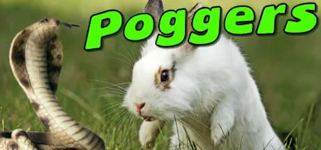 Poggers görsel 1