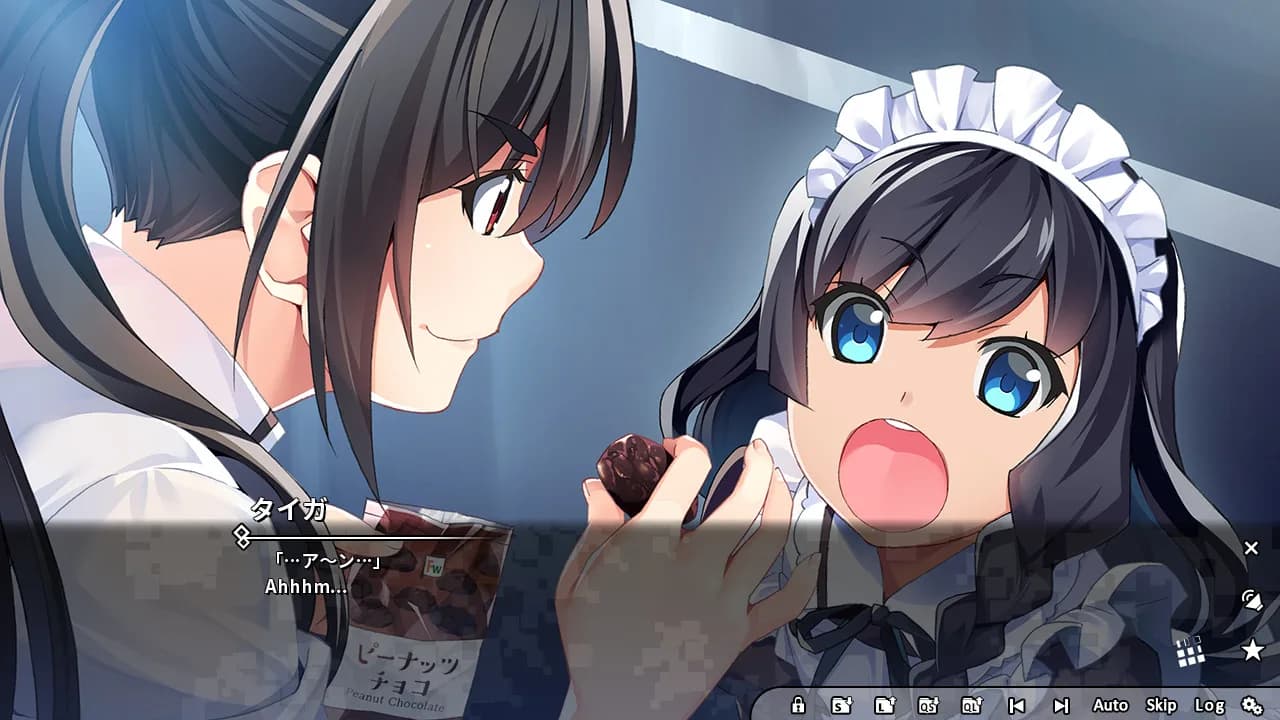 Grisaia Phantom Trigger Vol.5.5 görsel 3