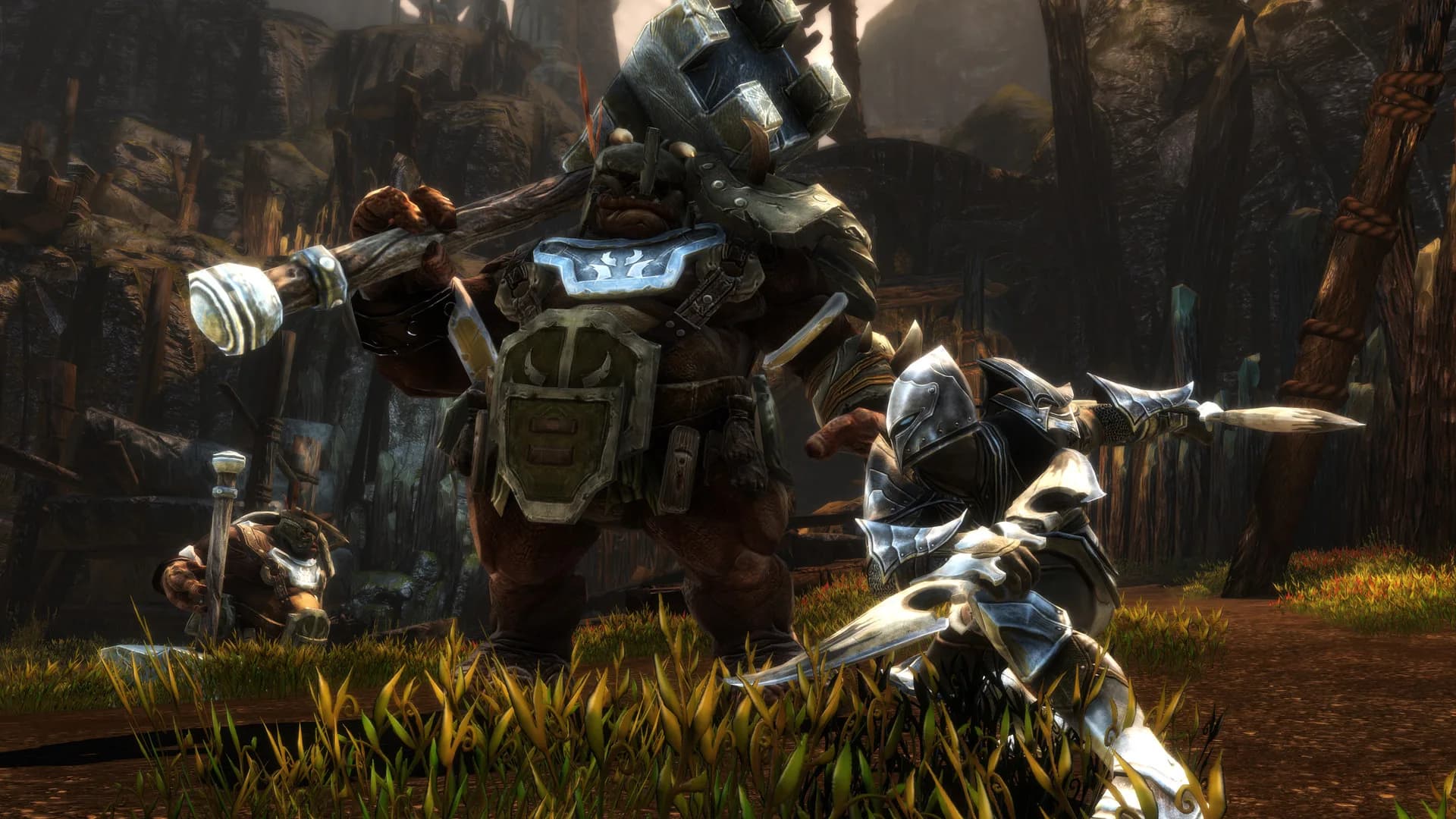 Kingdoms of Amalur: Re-Reckoning görsel 3