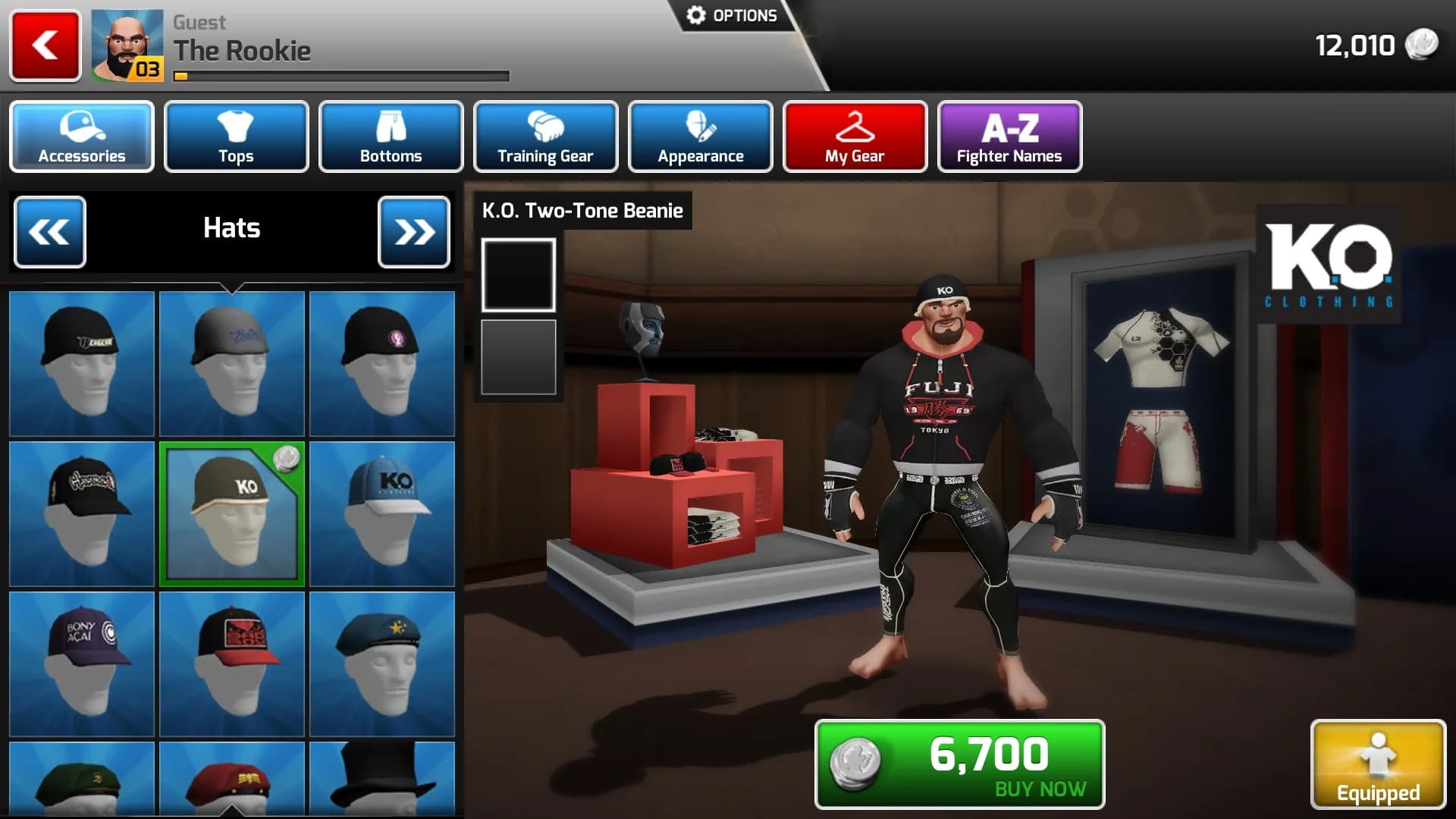 MMA Arena görsel 7