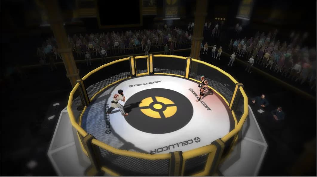 MMA Arena görsel 9