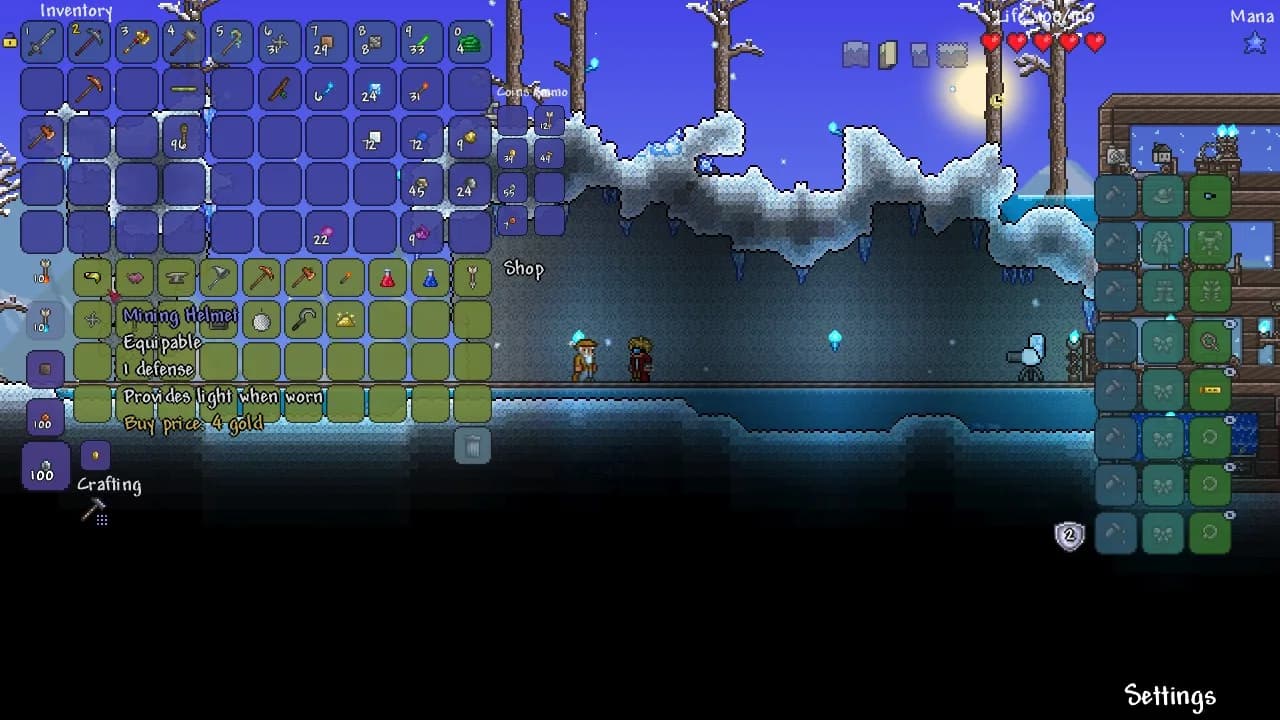 Terraria görsel 10