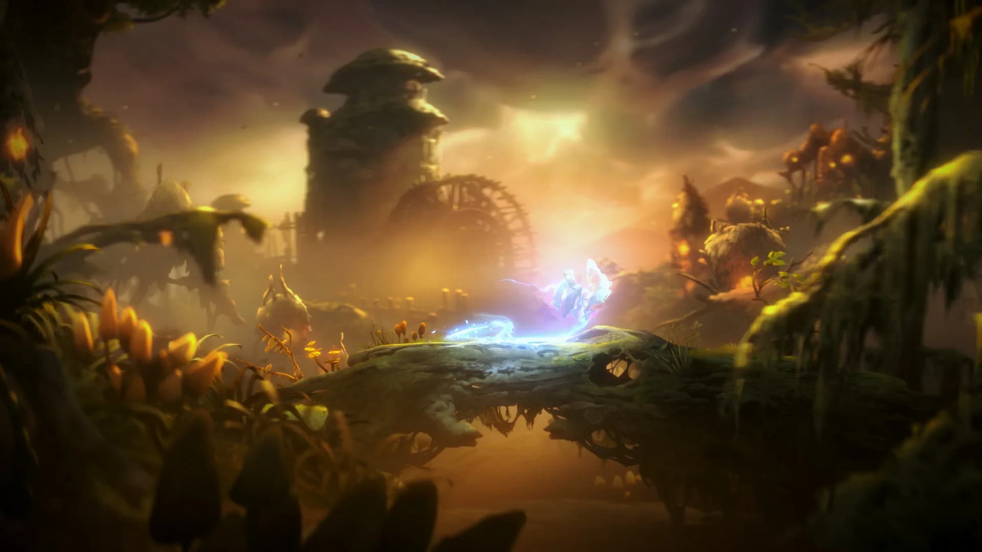 Ori and the Will of the Wisps görsel 5