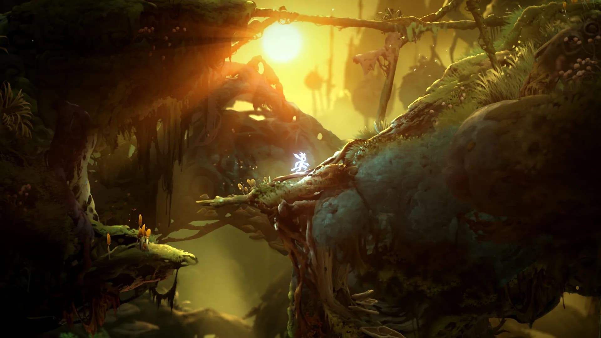 Ori and the Will of the Wisps görsel 8
