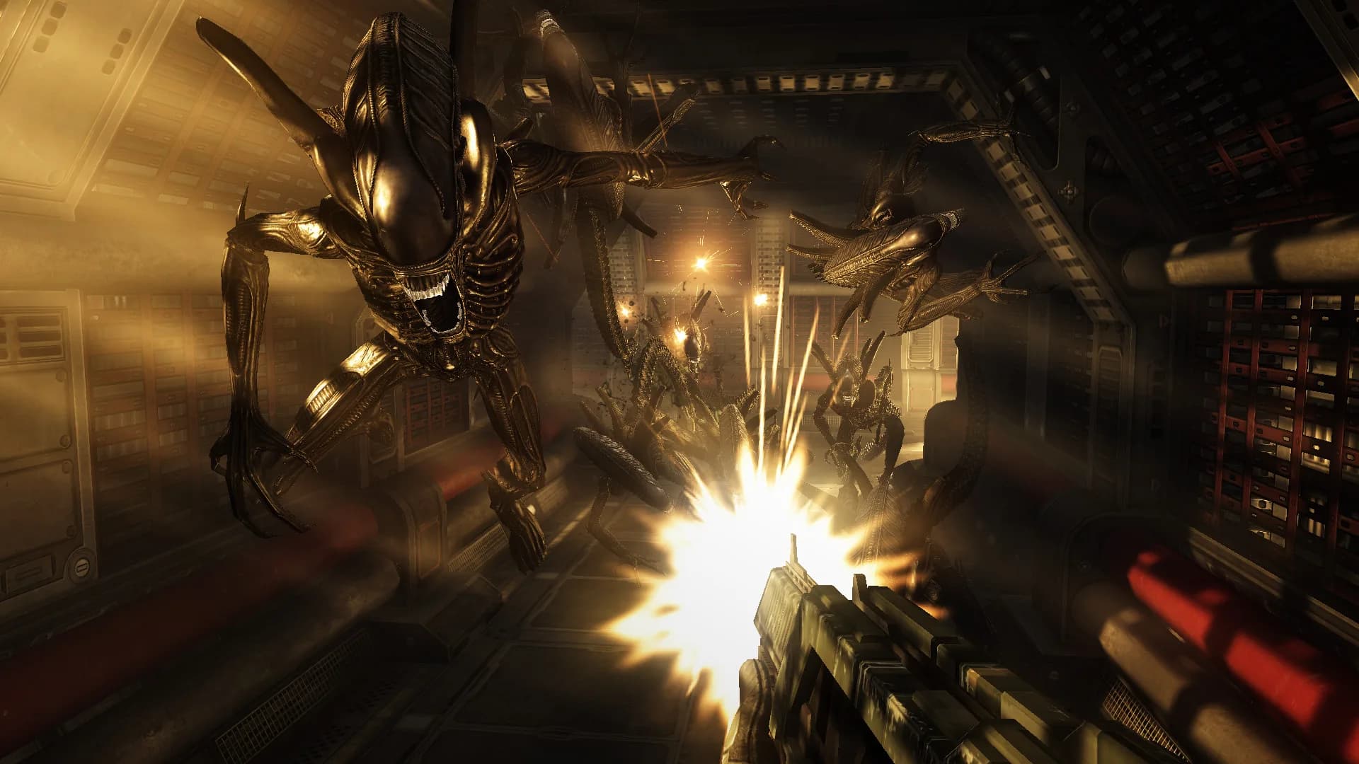 Aliens vs. Predator™ görsel 4