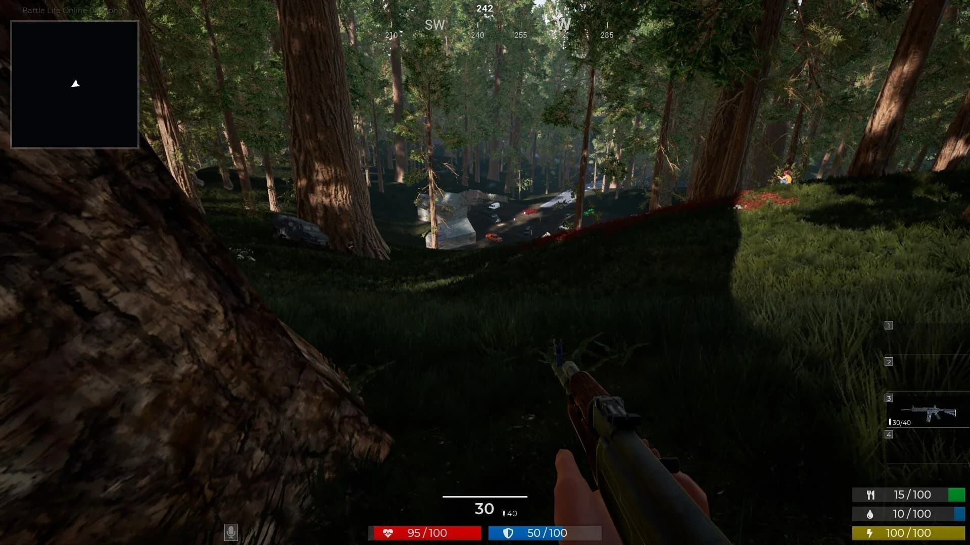 Battle Life Online görsel 7