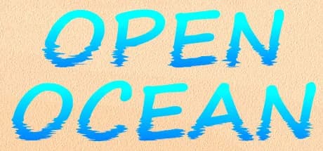 Open Ocean görsel 1