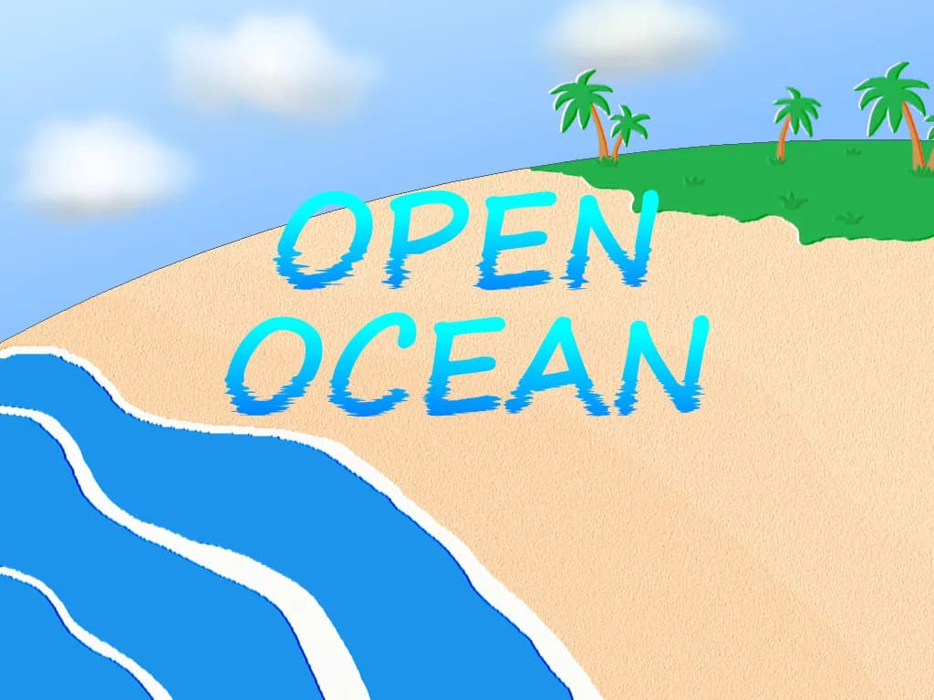 Open Ocean görsel 2
