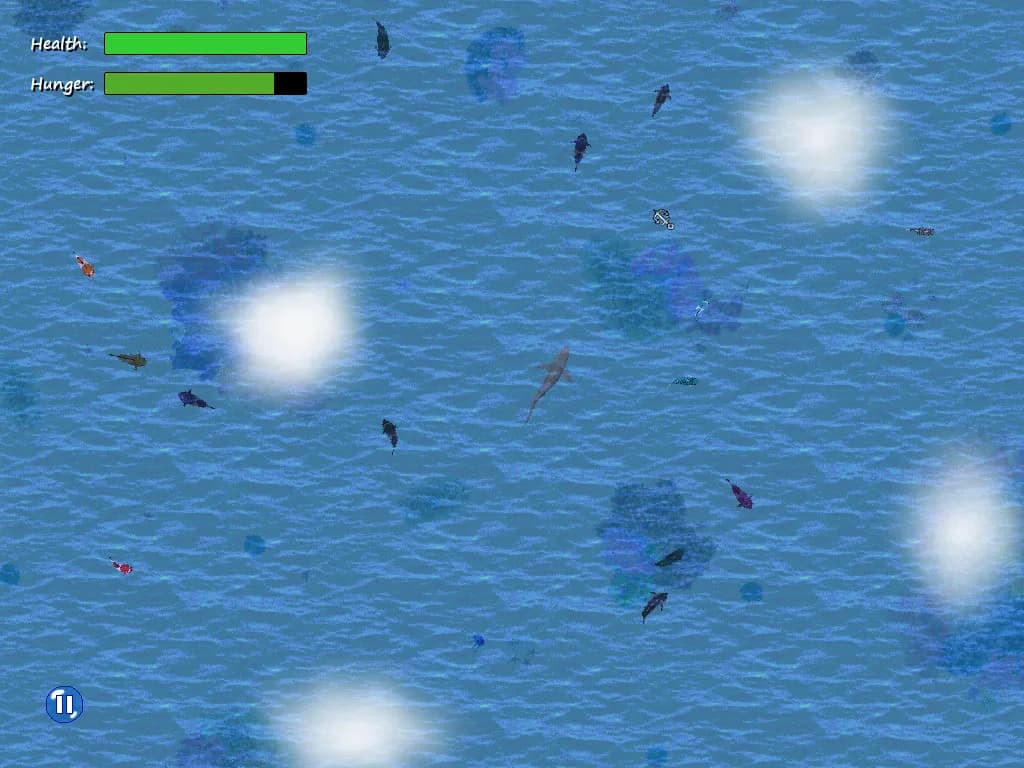 Open Ocean görsel 4