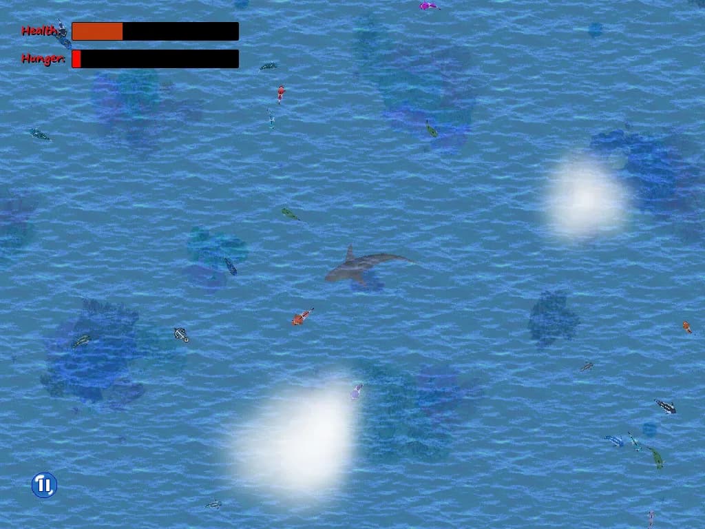 Open Ocean görsel 5