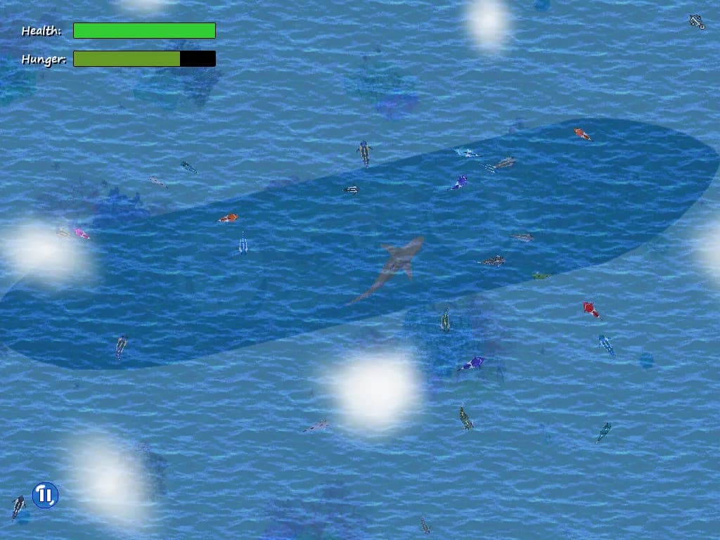 Open Ocean görsel 6
