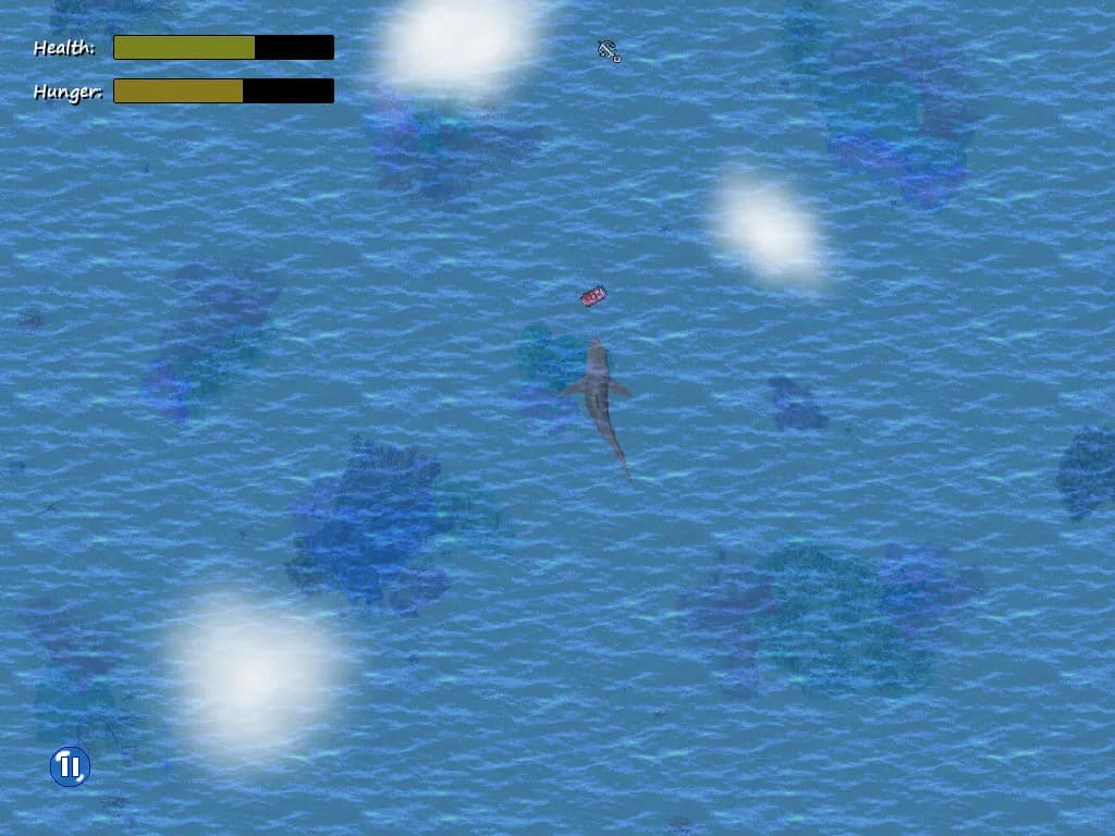 Open Ocean görsel 7