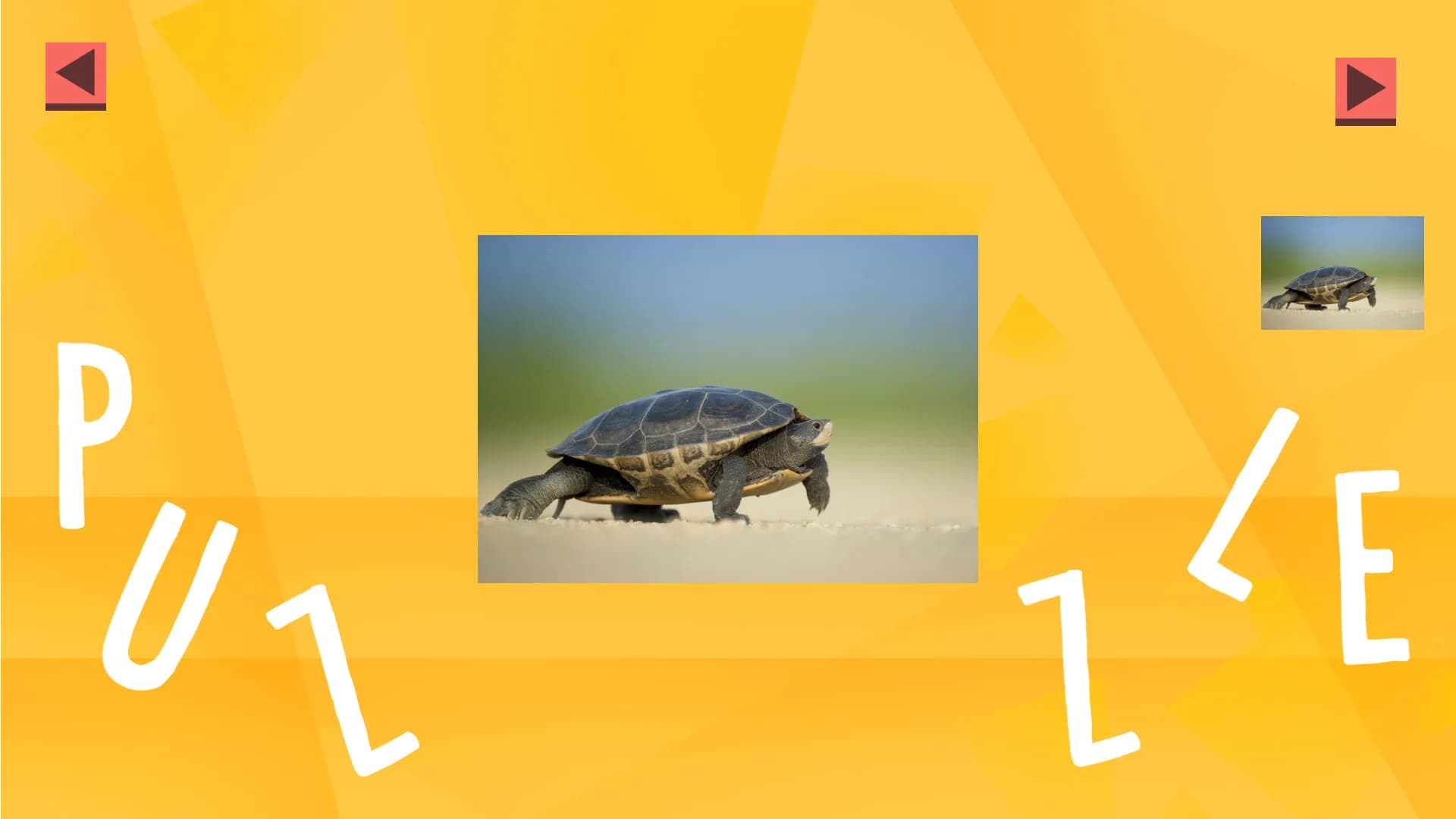 Game Of Puzzles: Animals görsel 2