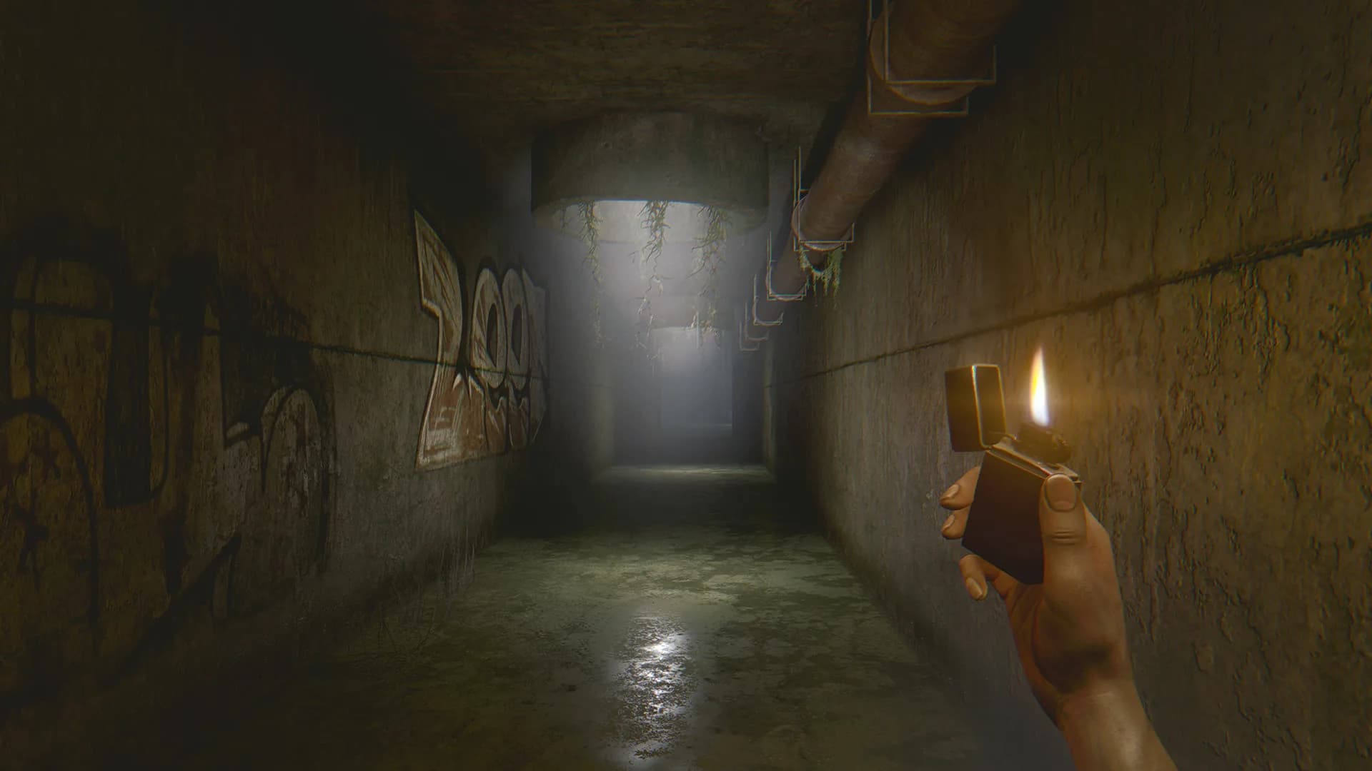 The Light Remake görsel 7