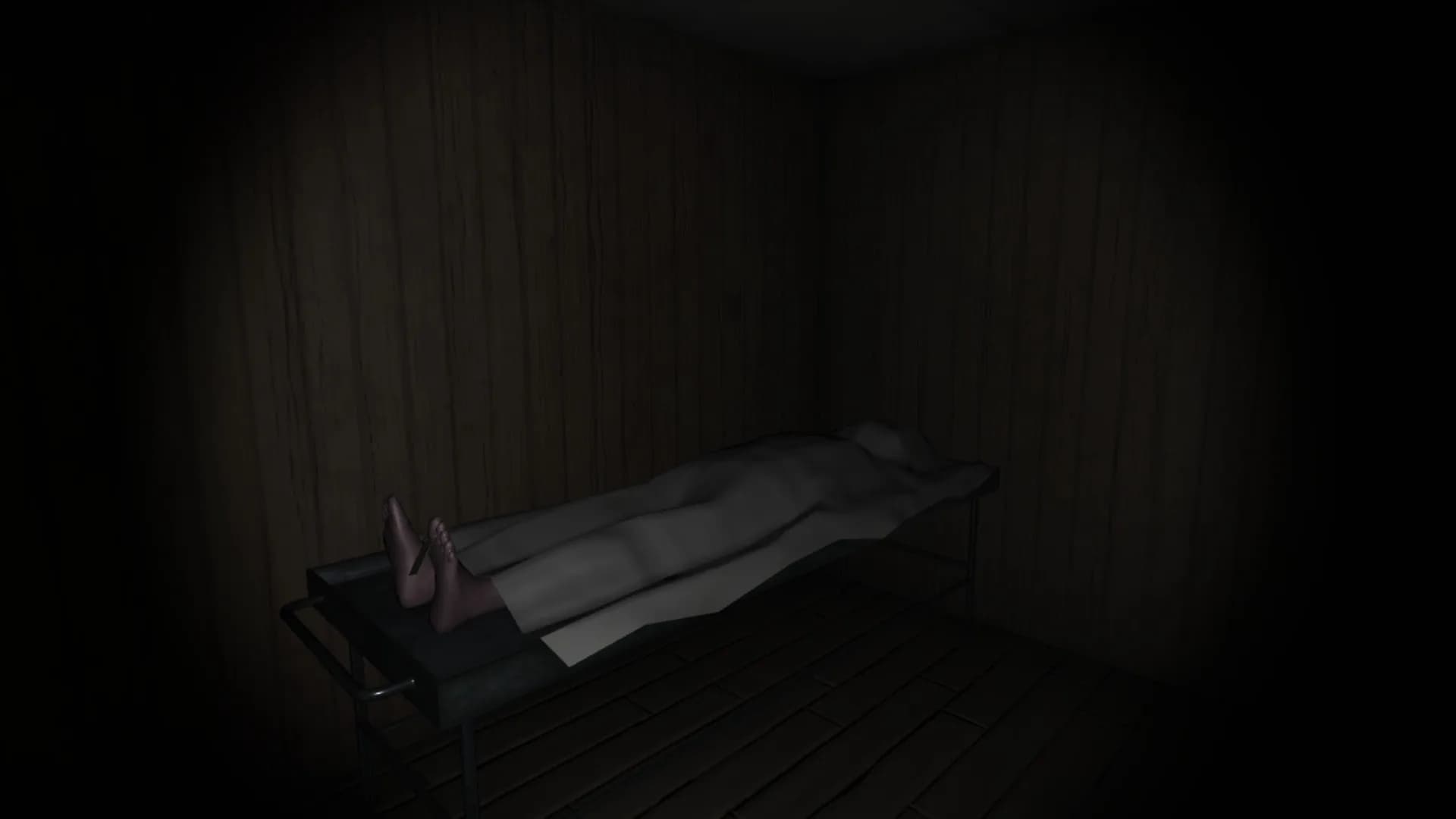 QuietMansion2 görsel 7