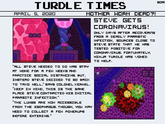 Ninja Turdle görsel 2